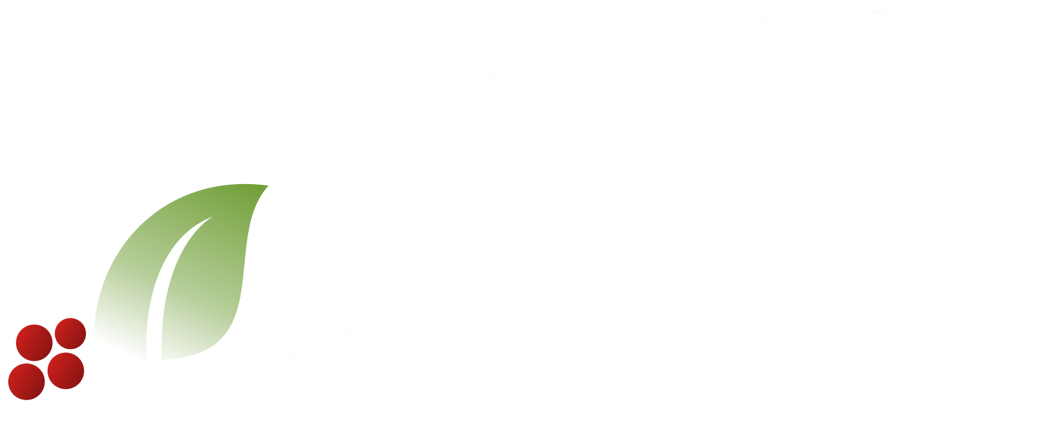 Bayberry Capital Partners