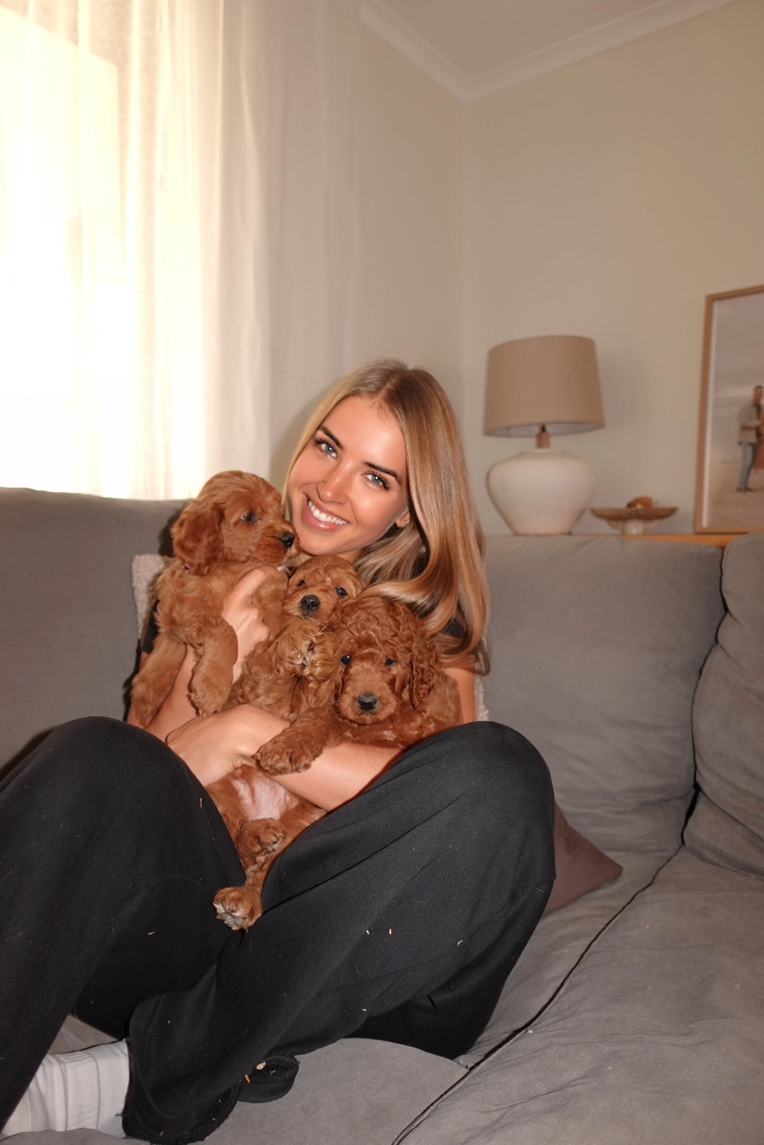 puppy trainer