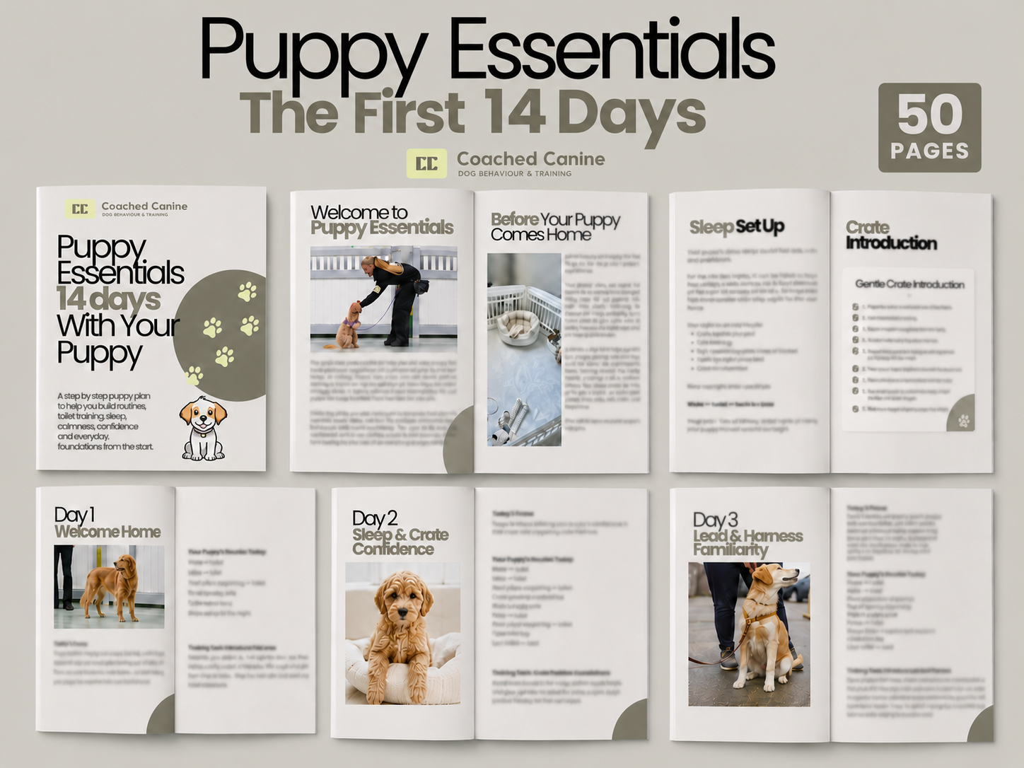 A display board titled "Puppy Essentials The First 14 Days" featuring a guide for new puppy owners, including introductory and daily plans with images of puppies and training scenes.