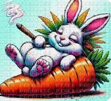 Carrot Smokin Bunny