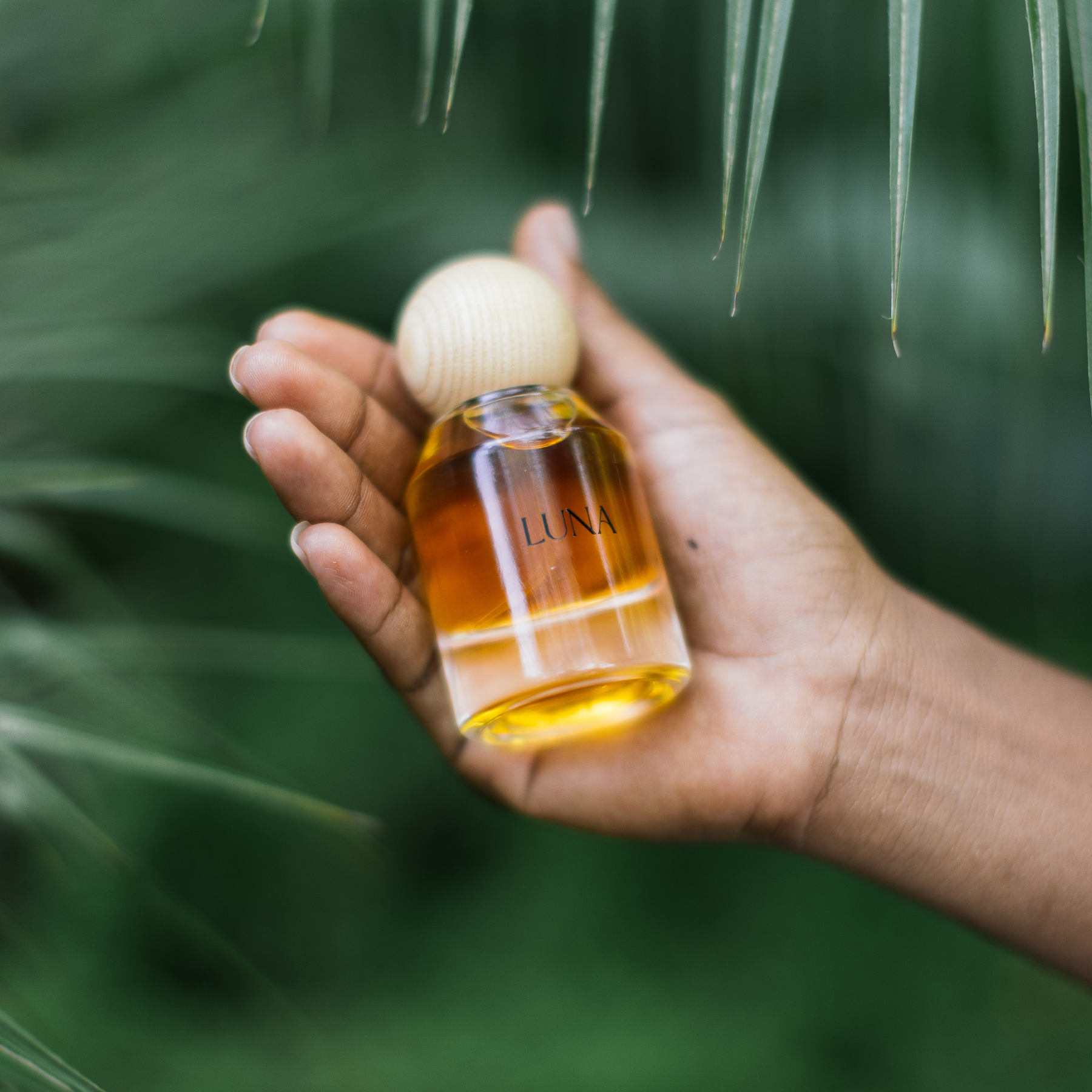 Hand-shot of Luna natural perfume surrounded by soft tropical leaves – clean, botanical perfume made in Australia