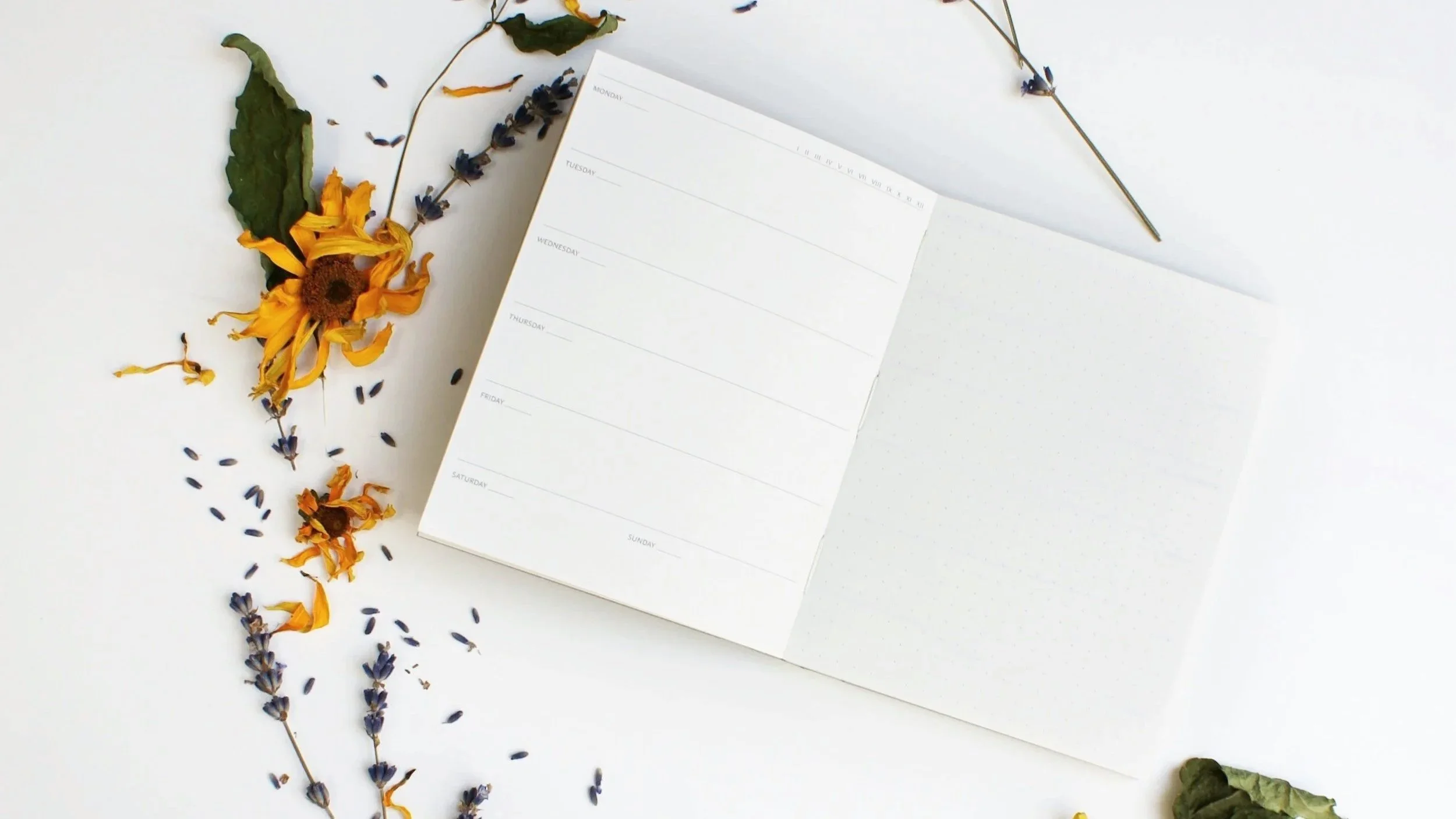 A Gentle Guide to Journalling: A Soft Start to Supporting Your Mind