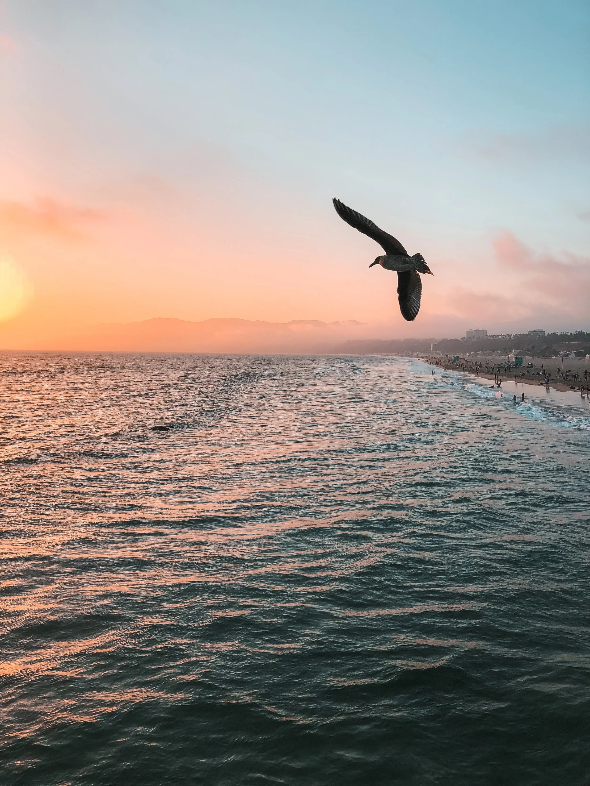 Santa Monica.JPG