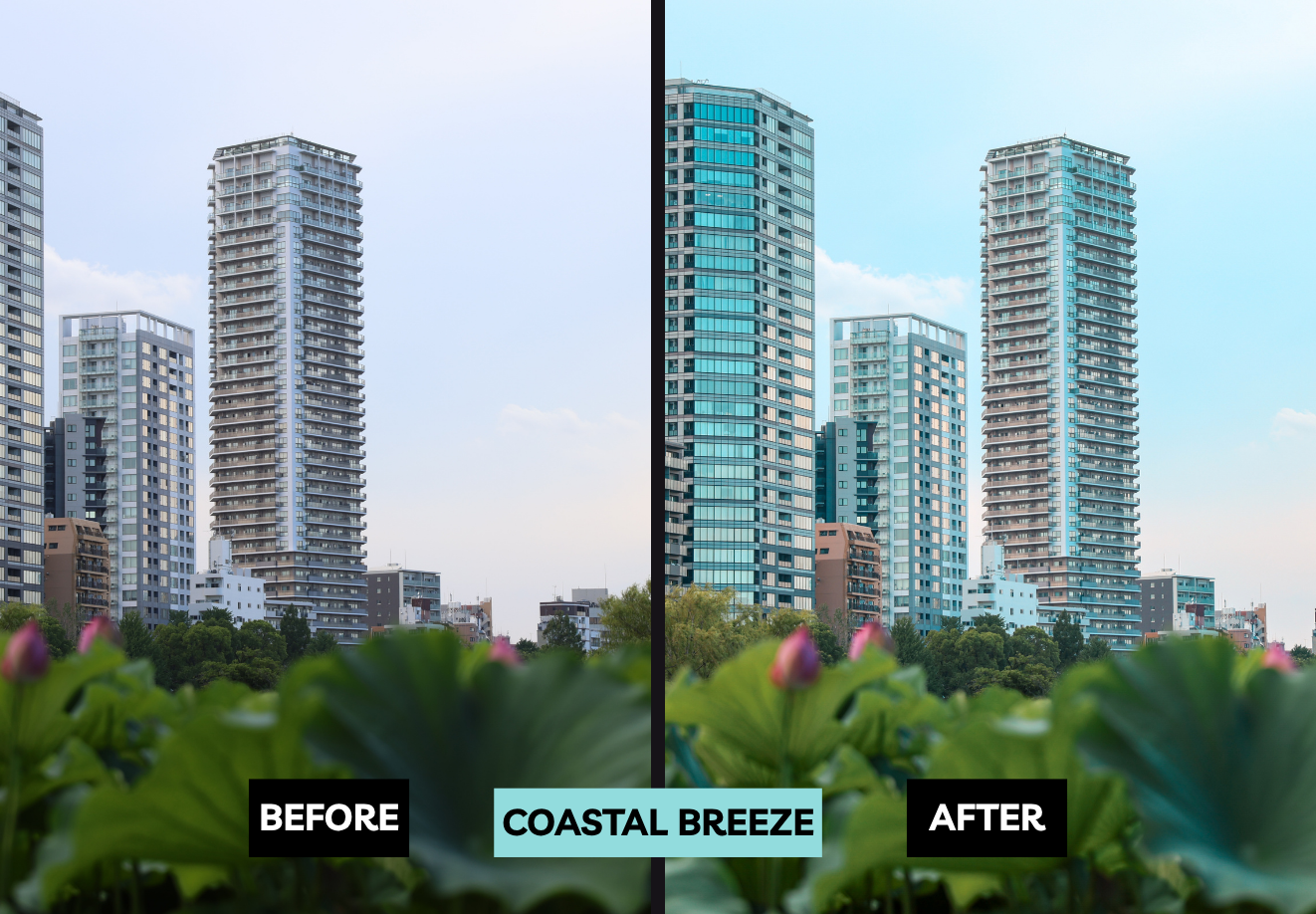 Coastal Breeze Preset.png