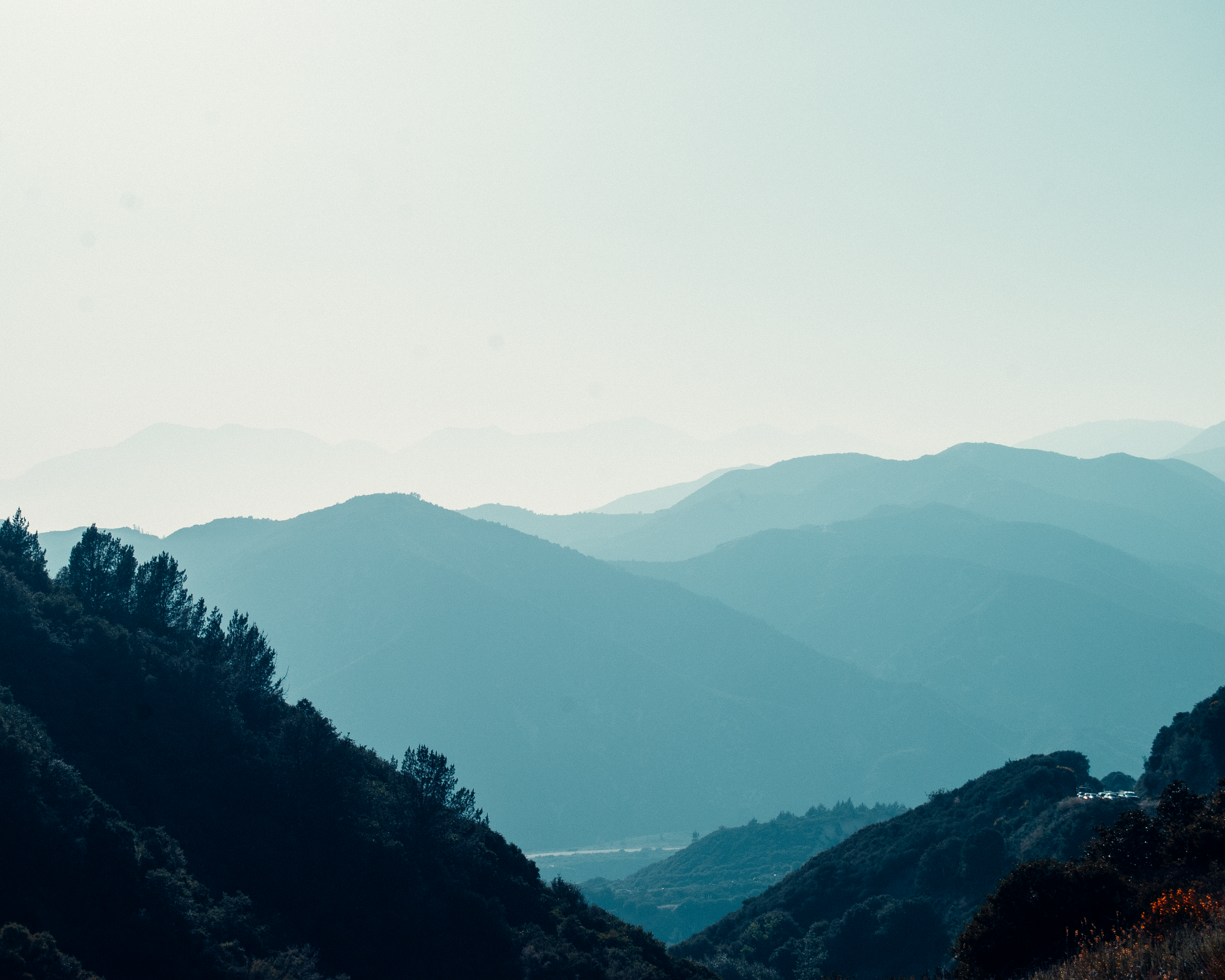 LA Landscape.PNG