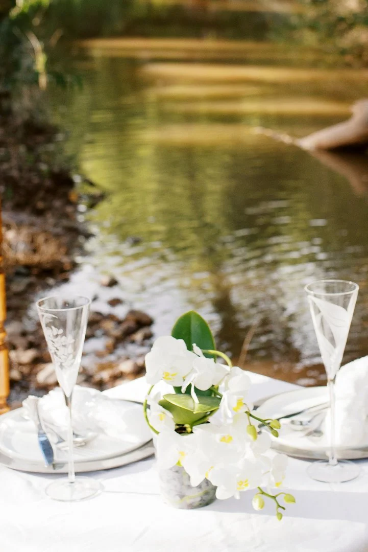 tucson event planner_-9.jpg