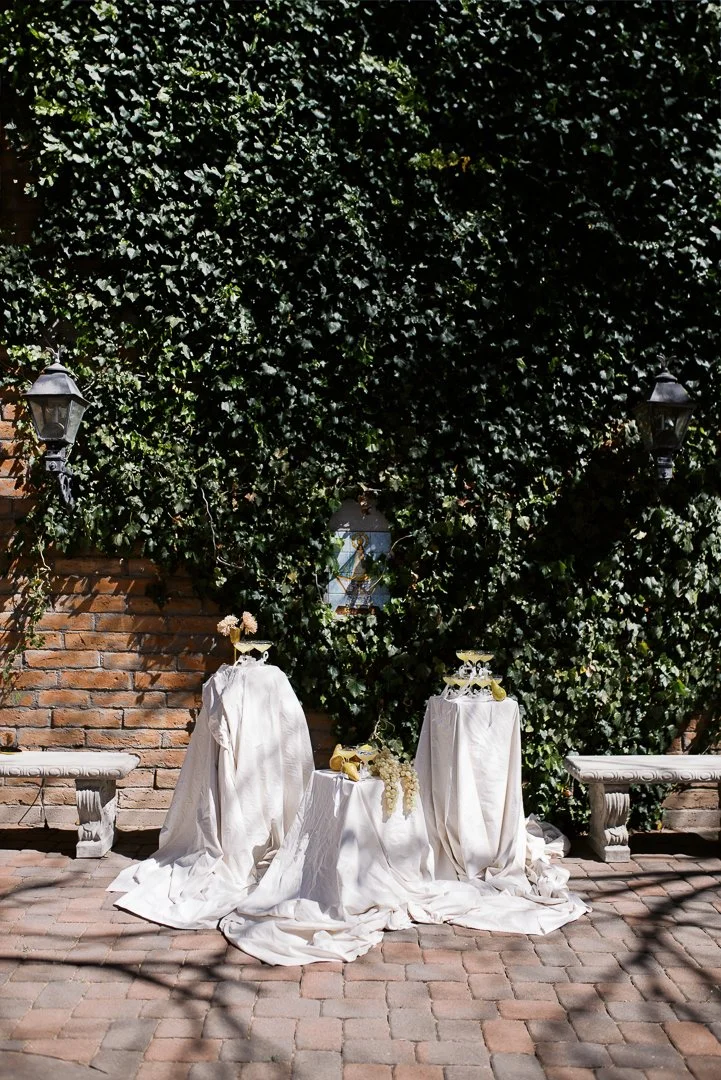 tucson event planner_-13.jpg