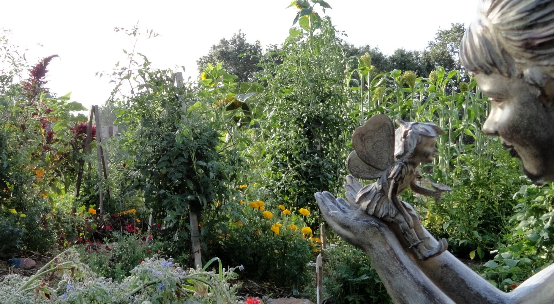 A garden with various plants and flowers, a fairy sculpture in the foreground, held in a person's hand, with a person’s face nearby.