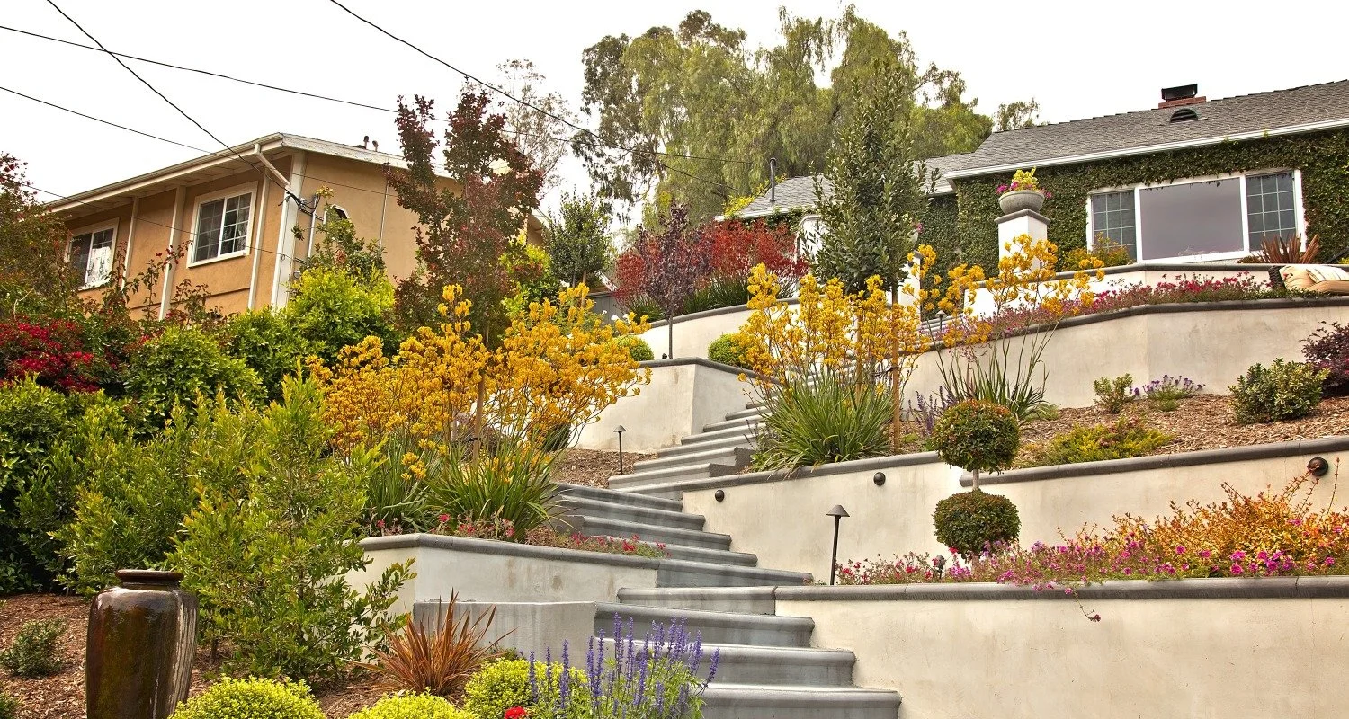 A landscaped hillside with colorful flowering plants, small trees, and tiered concrete retaining walls leading up to residential houses at the top.