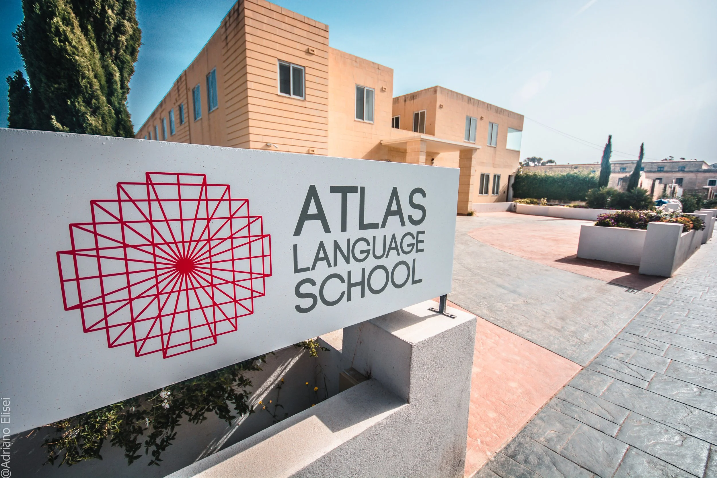 アトラス　マルタ　語学学校