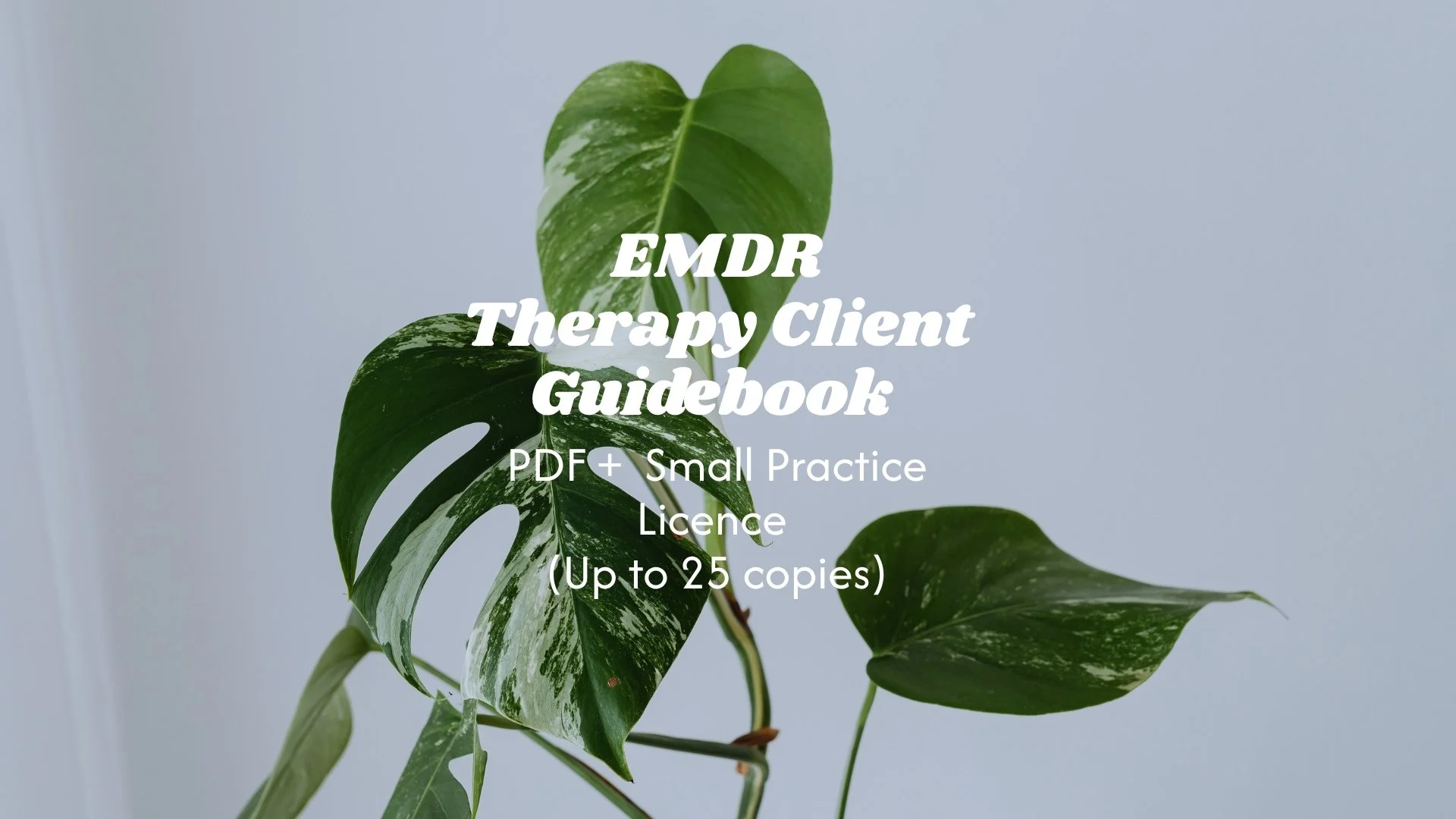DIGITAL EMDR Therapy Client Guidebook — Small Practice Licence (Up to 25 copies)