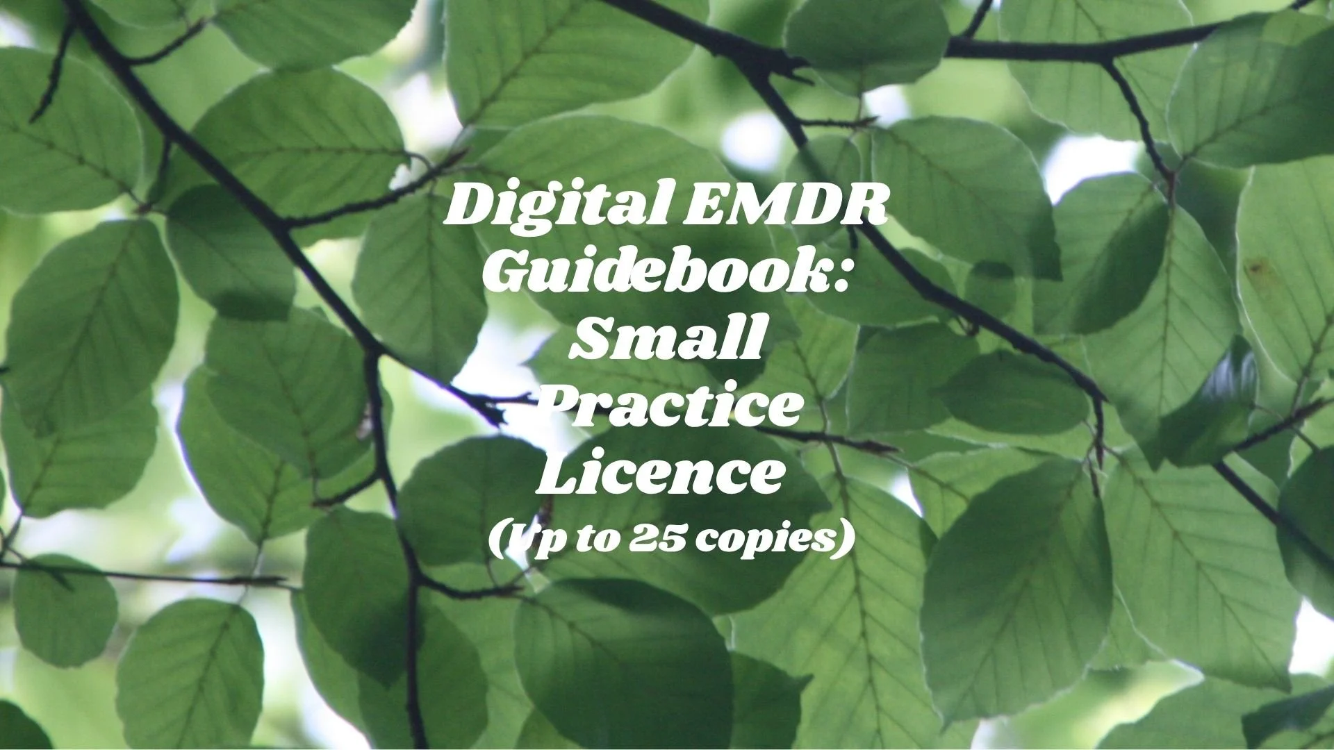 DIGITAL EMDR Therapy Client Guidebook — Small Practice Licence (Up to 25 copies)