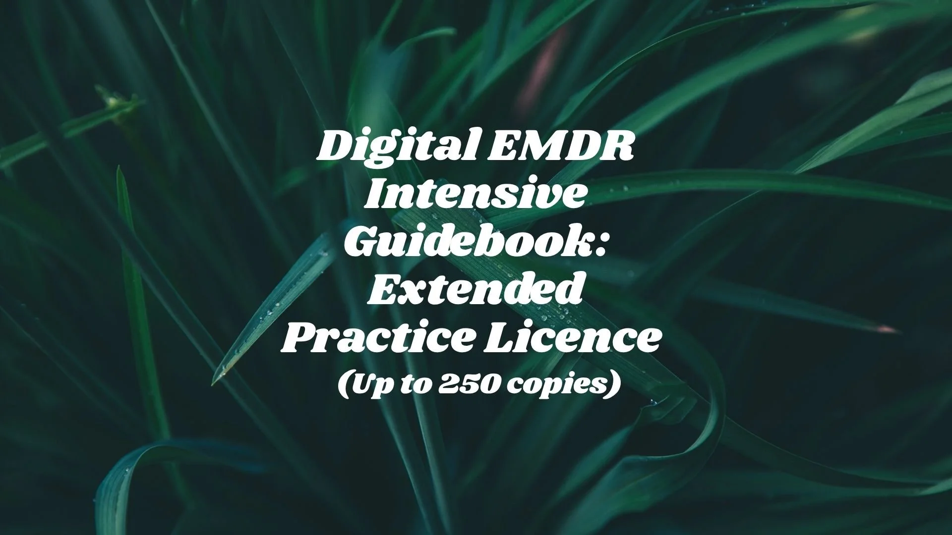 DIGITAL EMDR Intensive Digital Guidebook — Extended Practice Licence (Up to 250 copies)