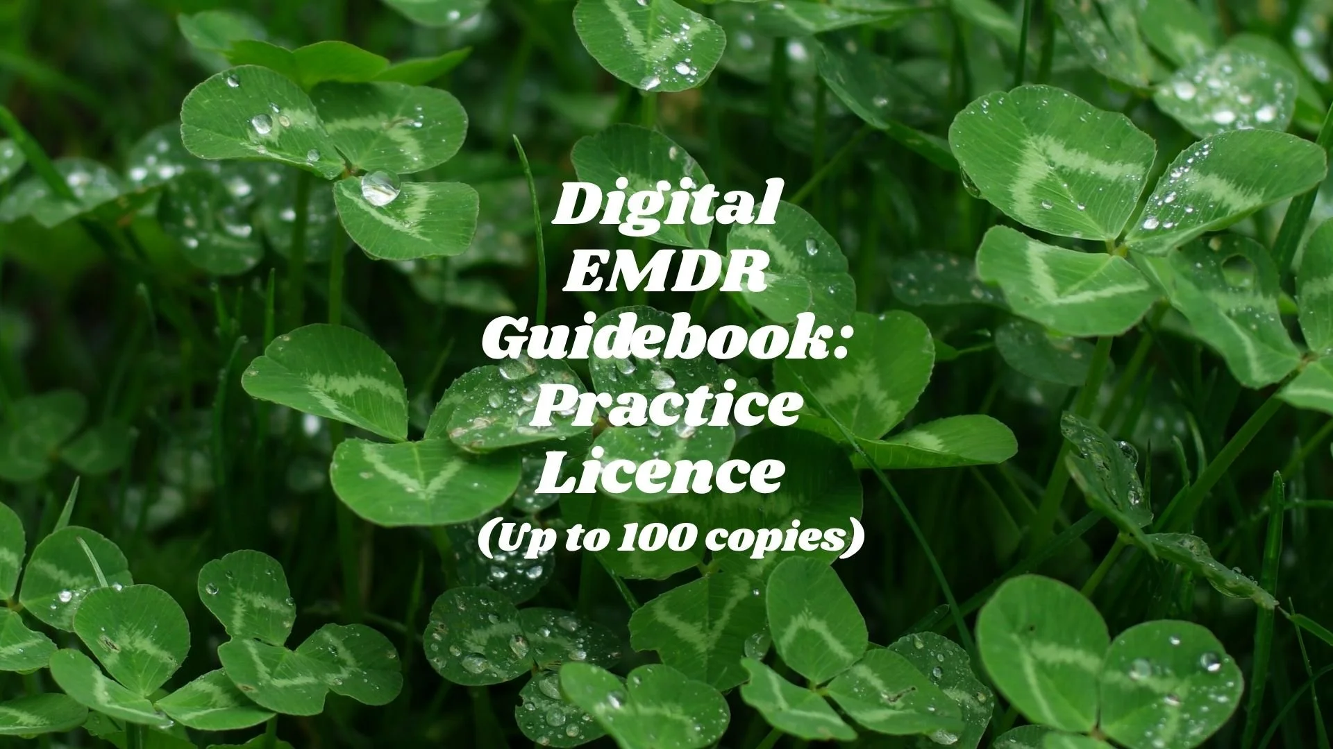 DIGITAL EMDR Therapy Client Guidebook — Extended Practice Licence (Up to 100 copies)