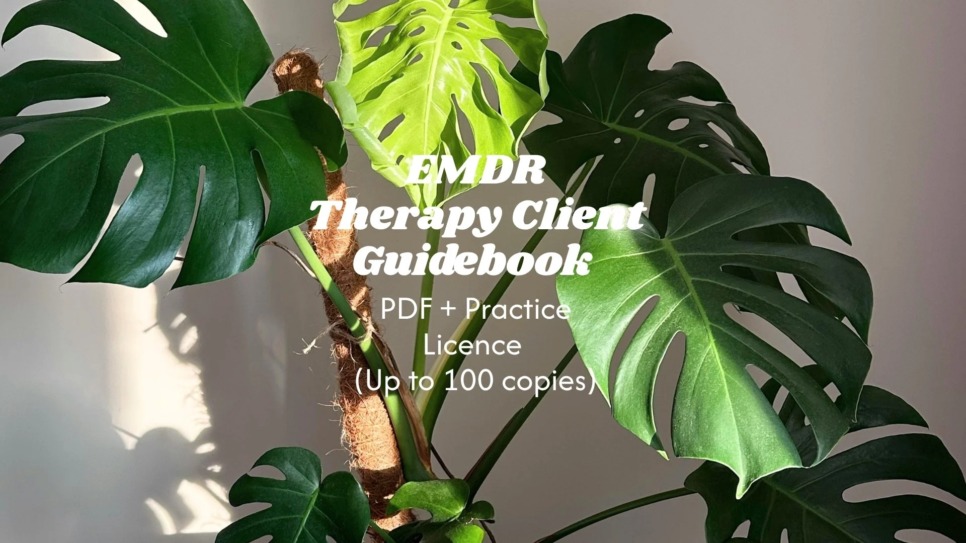 DIGITAL EMDR Therapy Client Guidebook — Practice Licence (Up to 100 copies)