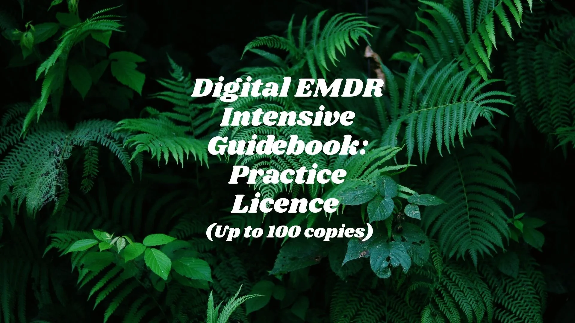 DIGITAL EMDR Intensive Guidebook — Practice Licence (Up to 100 copies)