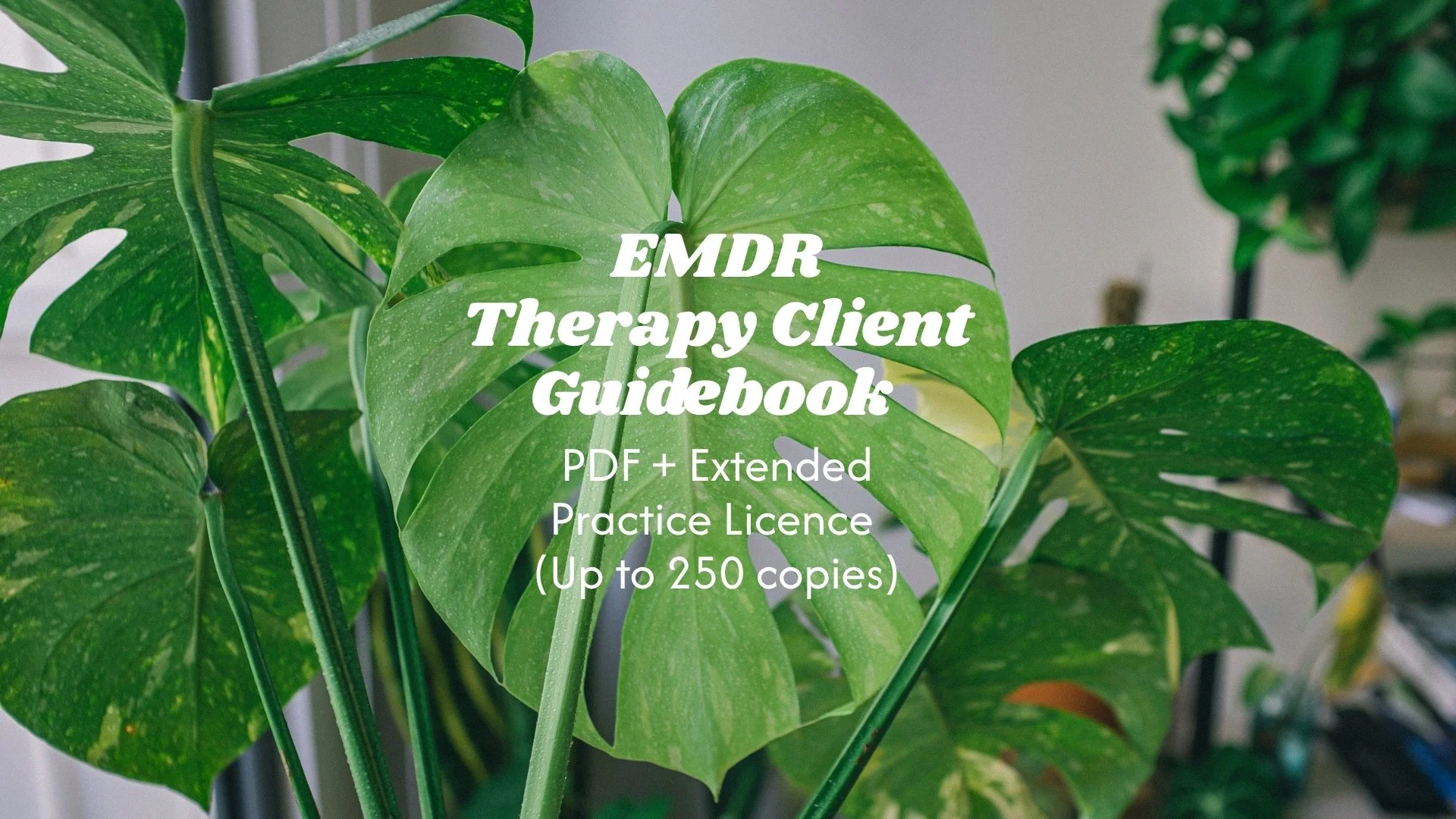DIGITAL EMDR Therapy Client Guidebook — Extended Practice Licence (Up to 250 copies)