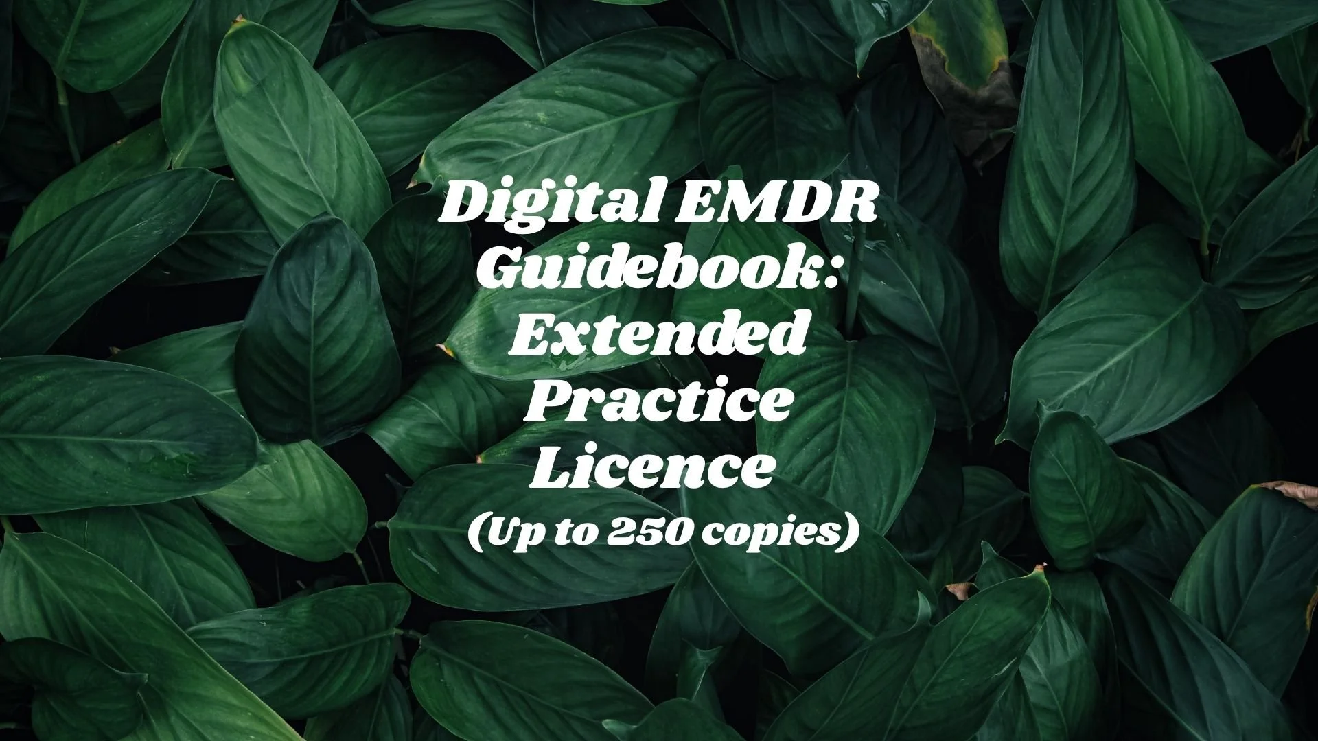 DIGITAL EMDR Therapy Client Guidebook — Extended Practice Licence (Up to 250 copies)