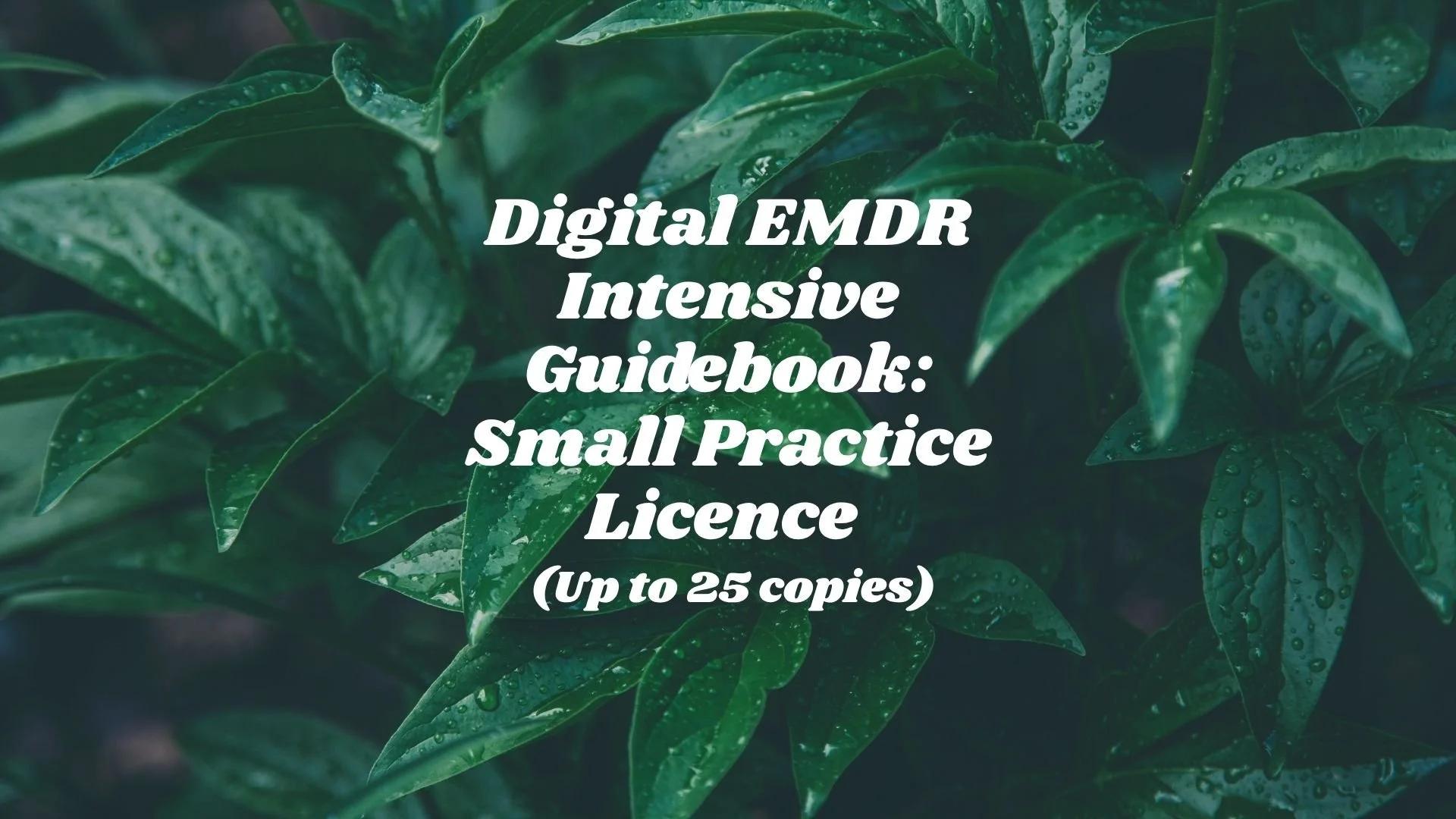 DIGITAL EMDR Intensive Guidebook — Small Practice Licence (Up to 25 copies)