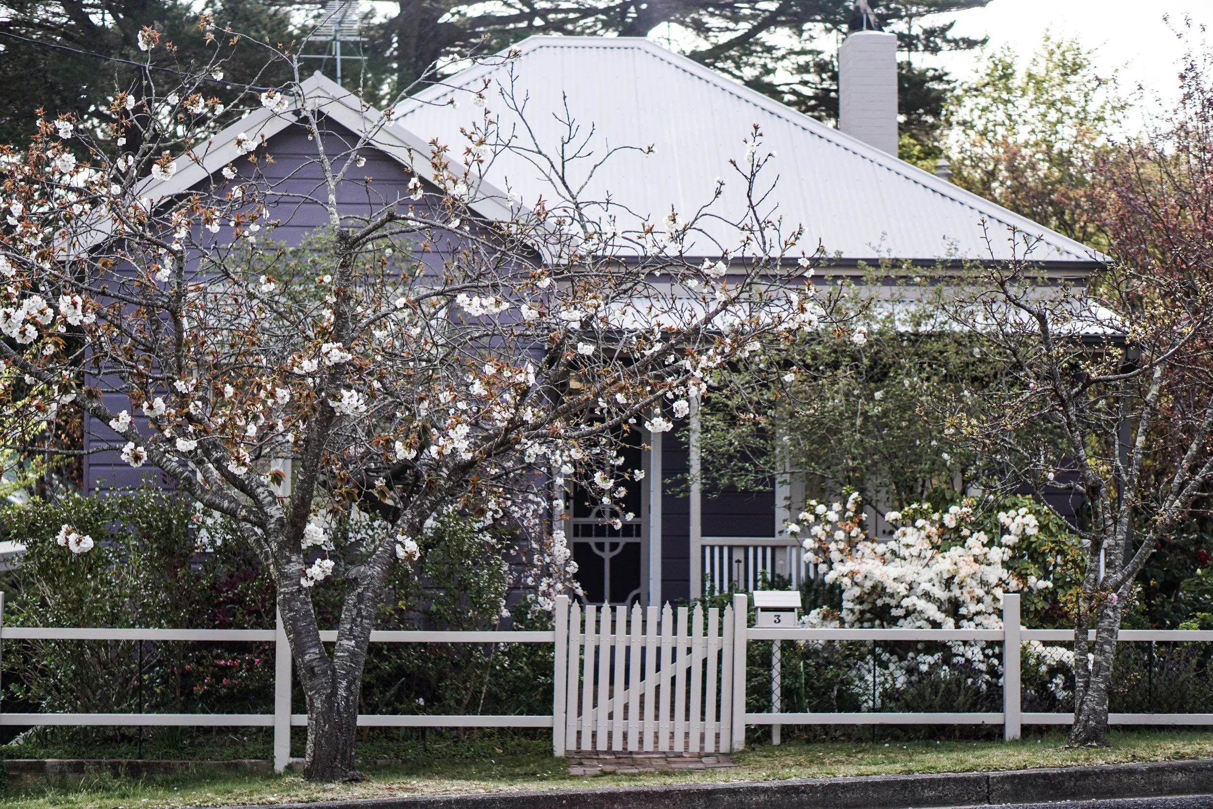 Federation vs Bungalow vs Victorian: A Quick Guide to Adelaide's Character Home Styles