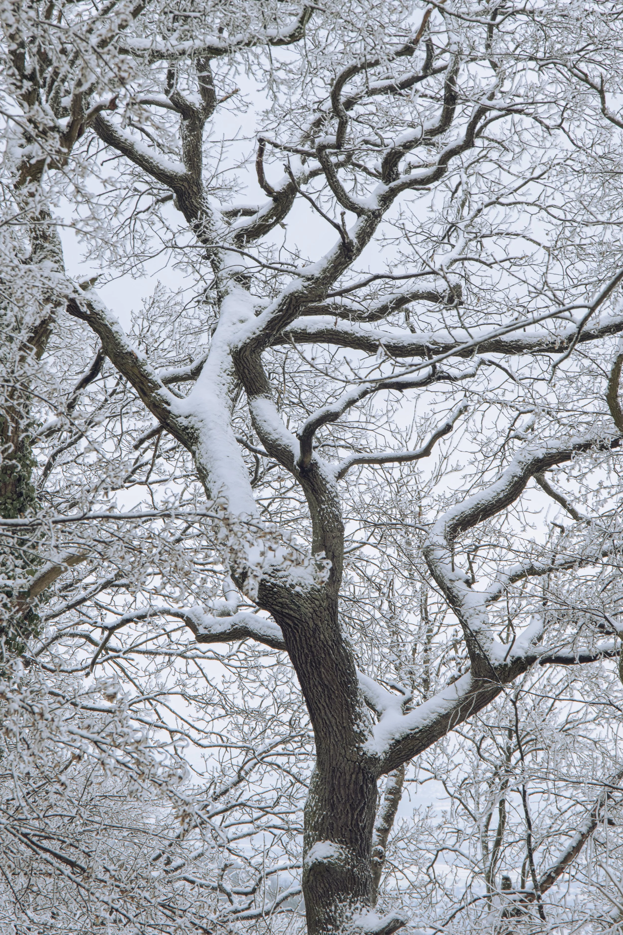 DSC_8442.jpg