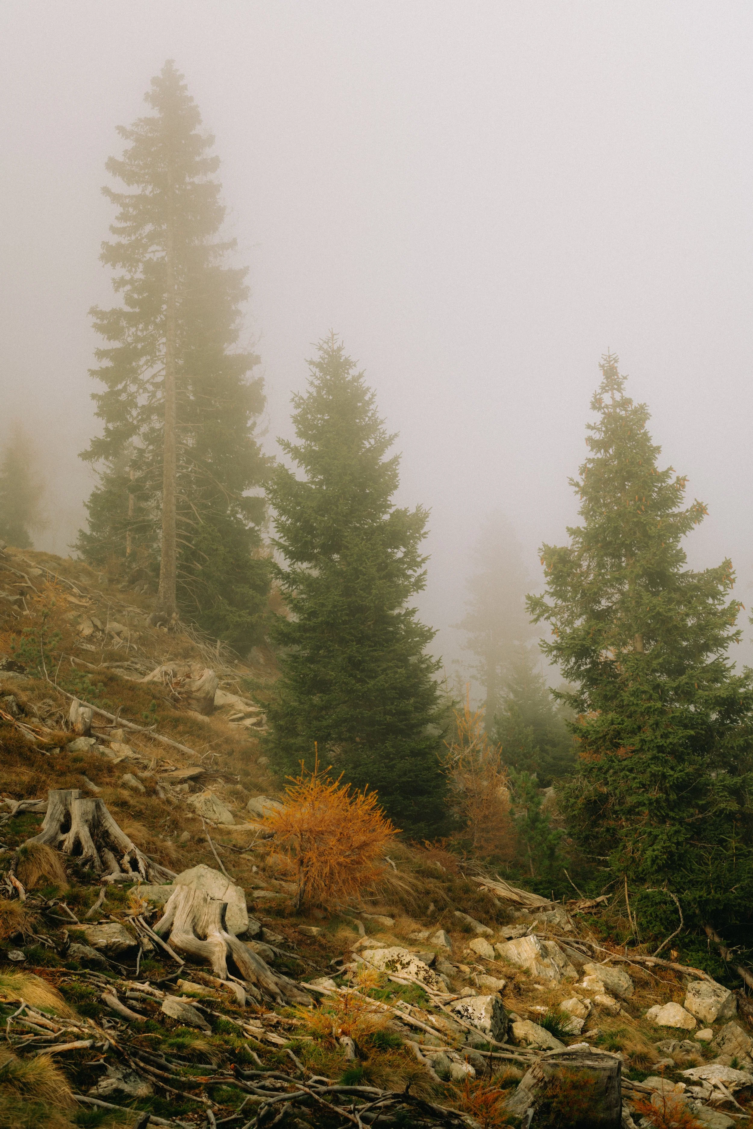 241026_1156.jpg