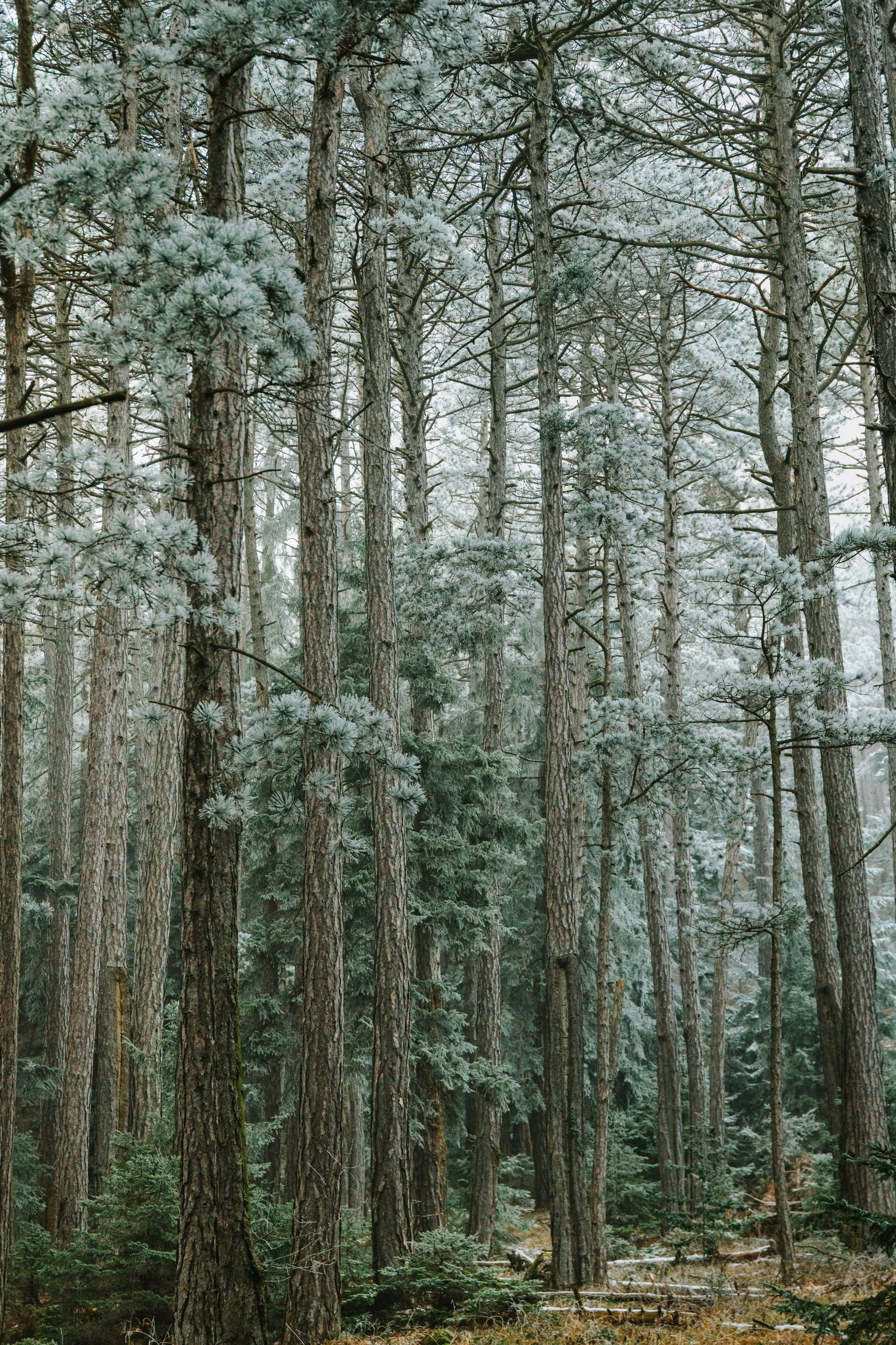20250119_5244.jpg