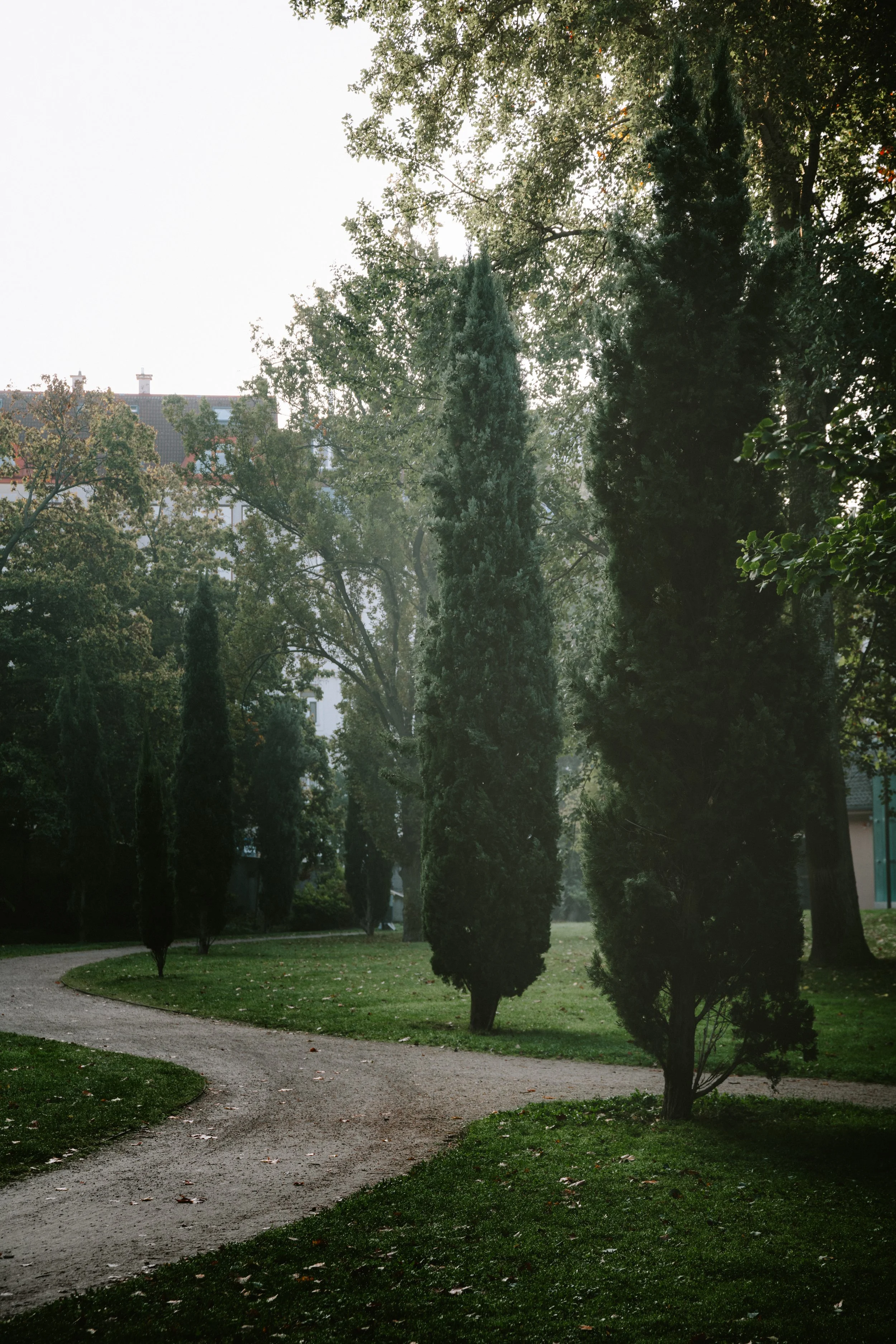 DSC_6535.jpg