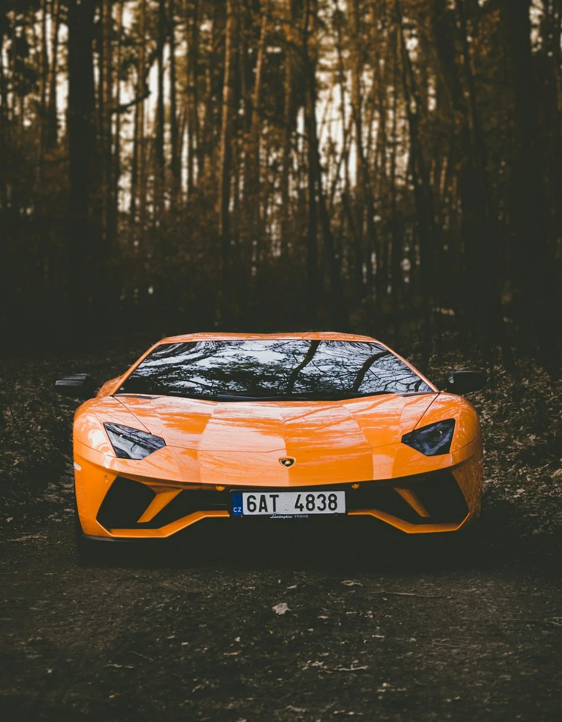 Orange Lamborghini parked in a forest setting, establishing a tone of luxury and speed.
