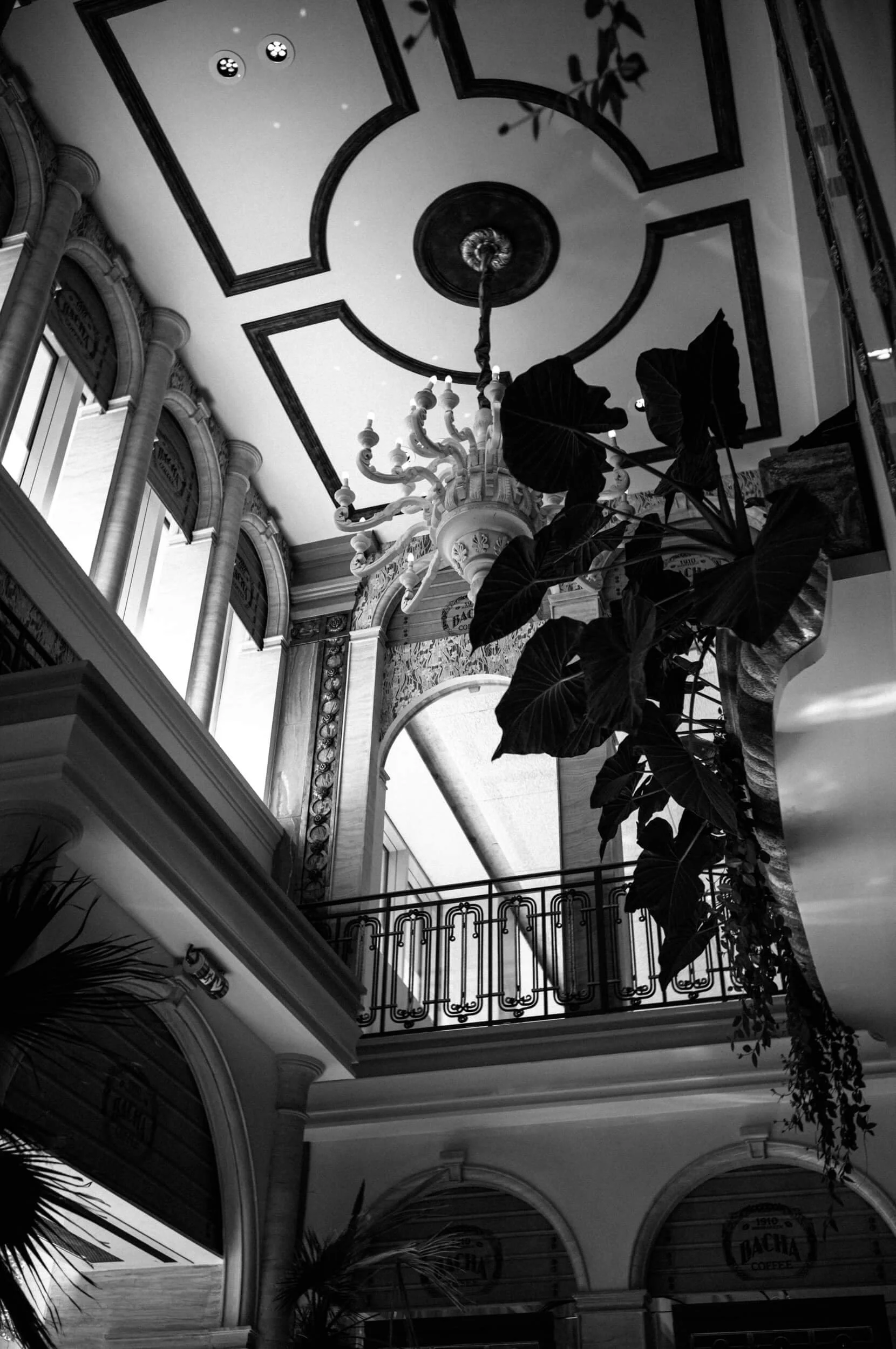 Black and white photograph of the ornate interior of Bacha Coffee in Paris, with a chandelier, arched architecture and large silhouetted leaves.