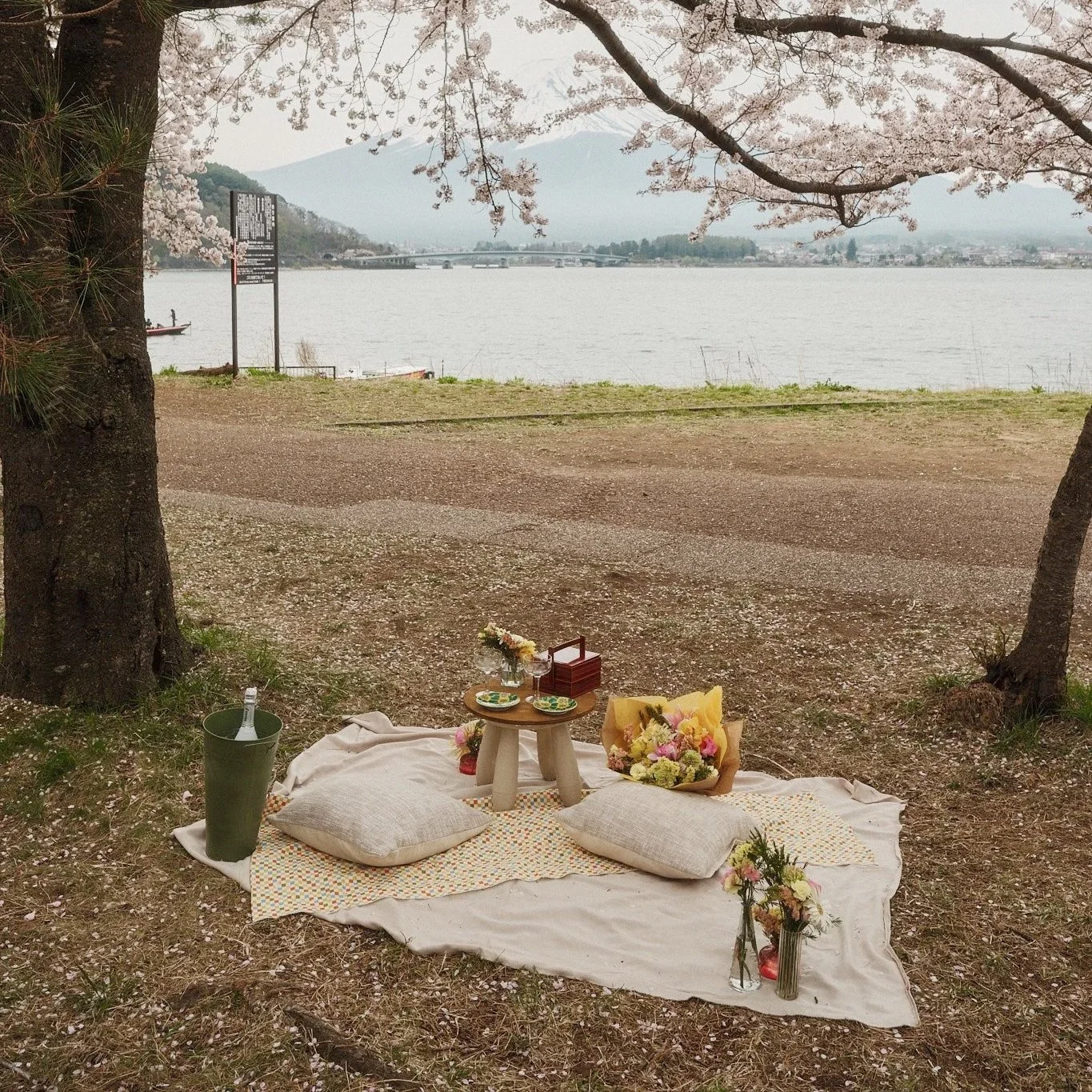 A picnic setup on a blanket under cherry blossom trees by a lake, with pillows, flowers, and a small table with dishes and drinks.