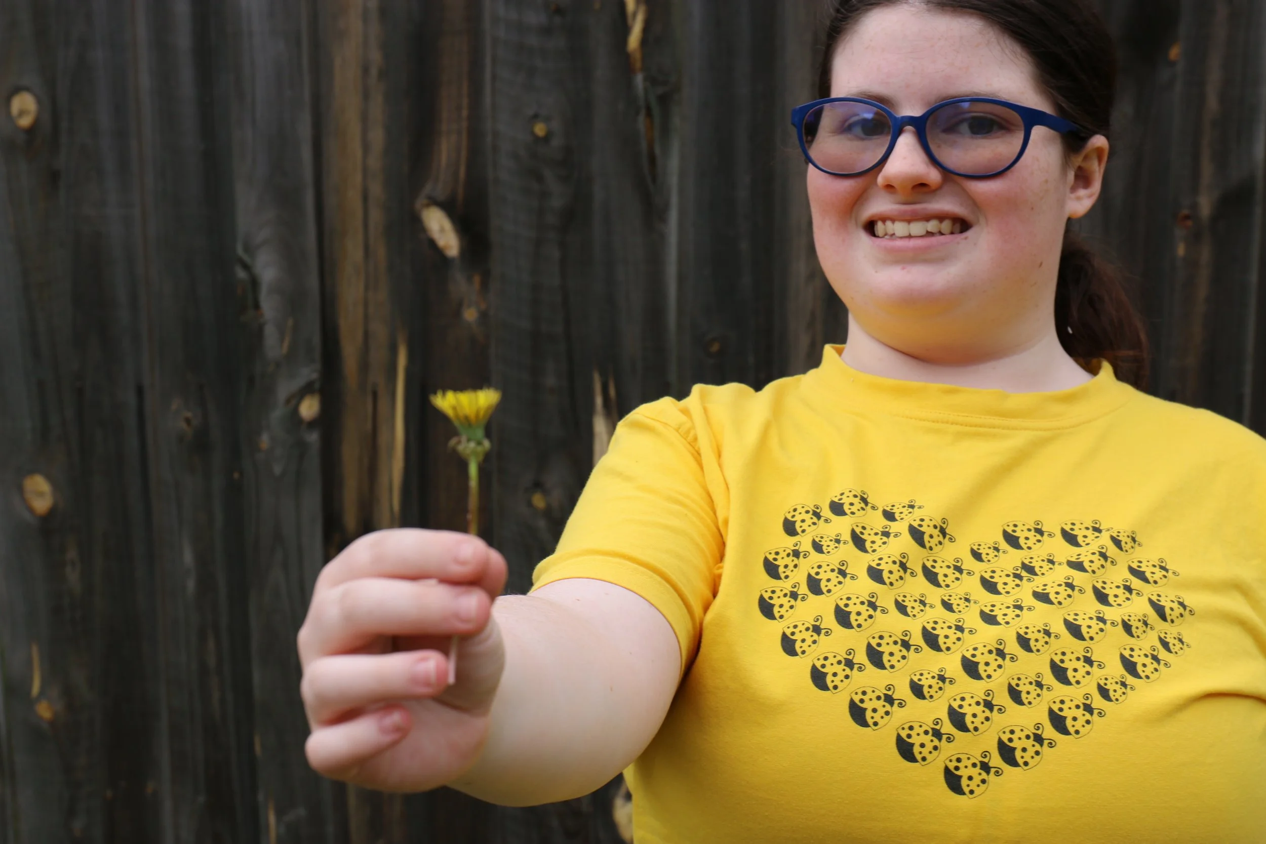 What Is the Yellow Ladybugs?