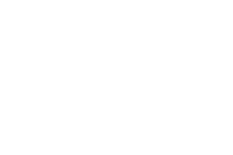 bise.png