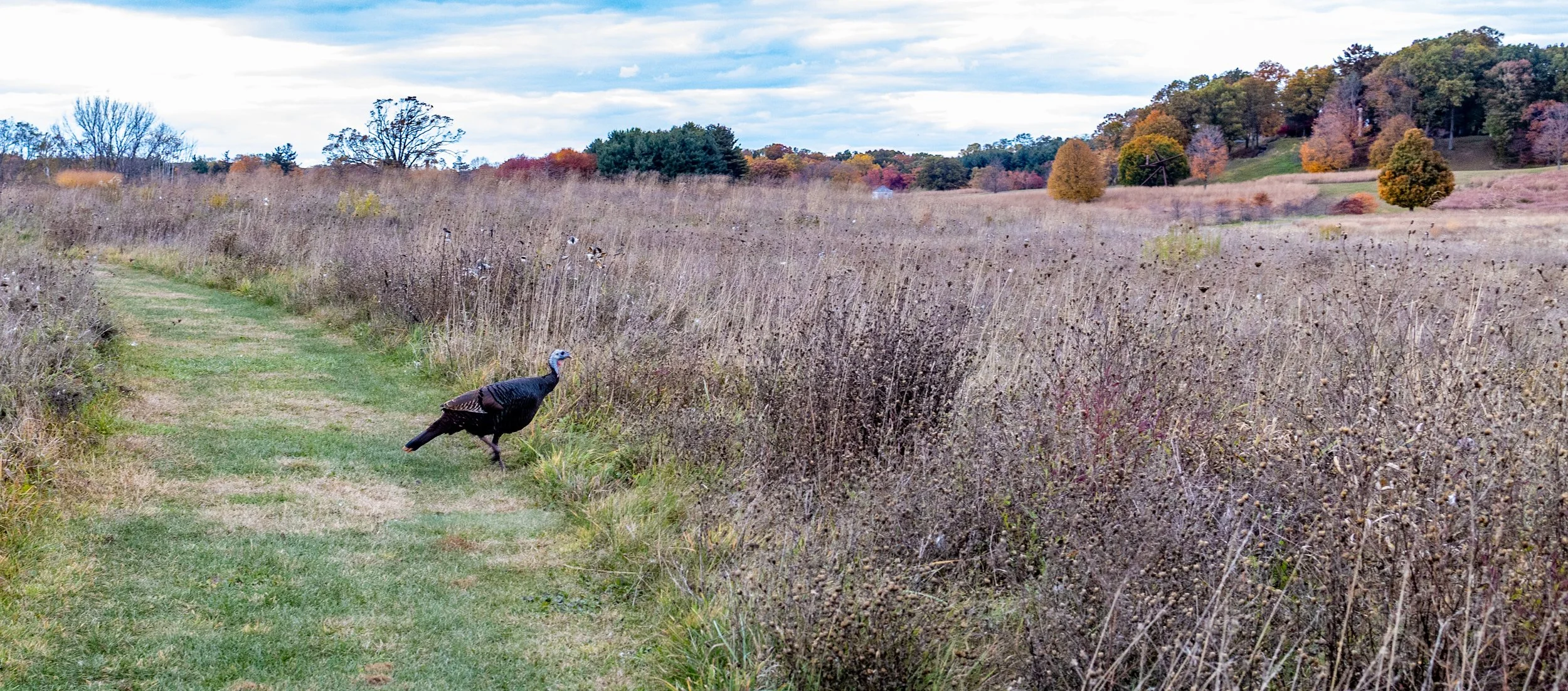 October 2025.jpg-25.jpeg