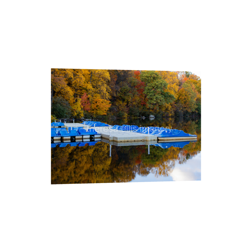 ptq_34_5_373_0_5973_4480_0_false_ffffff_0_0_5c8a65ded2a0bd5ee7c2169a49639388.png