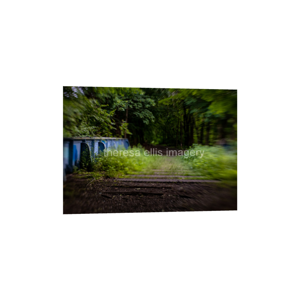 ptq_34_7_160_0_4480_3200_0_false_ffffff_0_0_5c8a65ded2a0bd5ee7c2169a49639388.png
