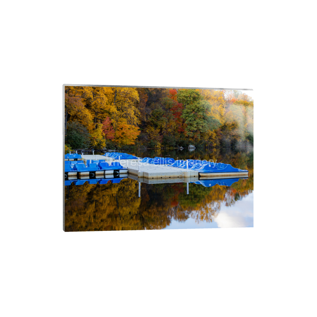 ptq_13_5_373_0_5973_4480_0_false_ffffff_0_0_5c8a65ded2a0bd5ee7c2169a49639388.png