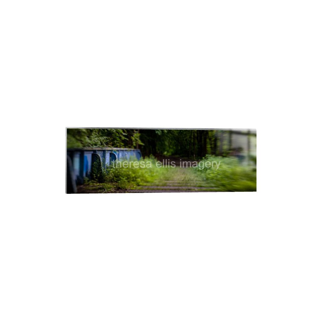 ptq_13_2_0_800_4800_1600_0_false_ffffff_0_0_5c8a65ded2a0bd5ee7c2169a49639388.png
