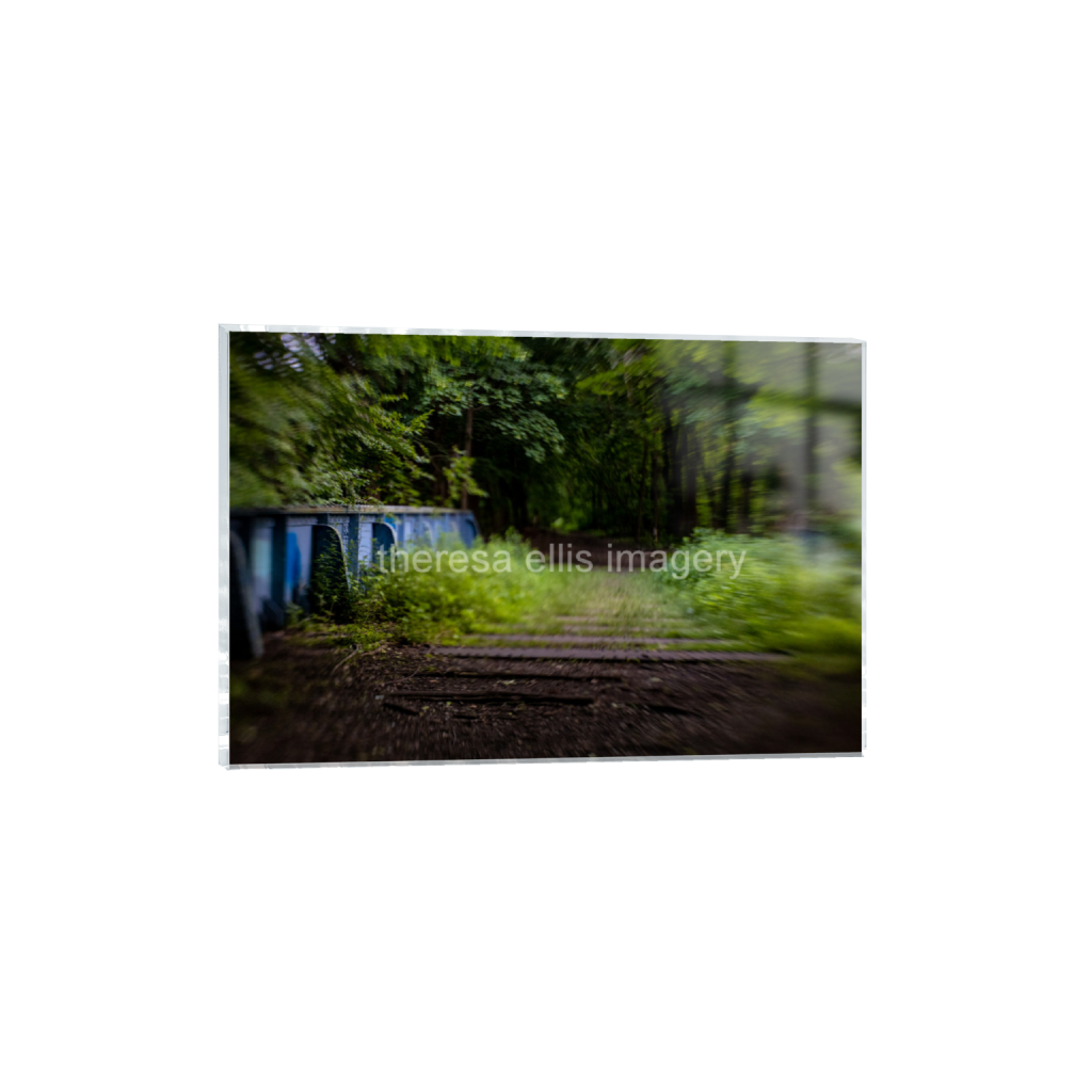 ptq_17_3_0_0_4800_3200_0_false_ffffff_0_0_5c8a65ded2a0bd5ee7c2169a49639388.png