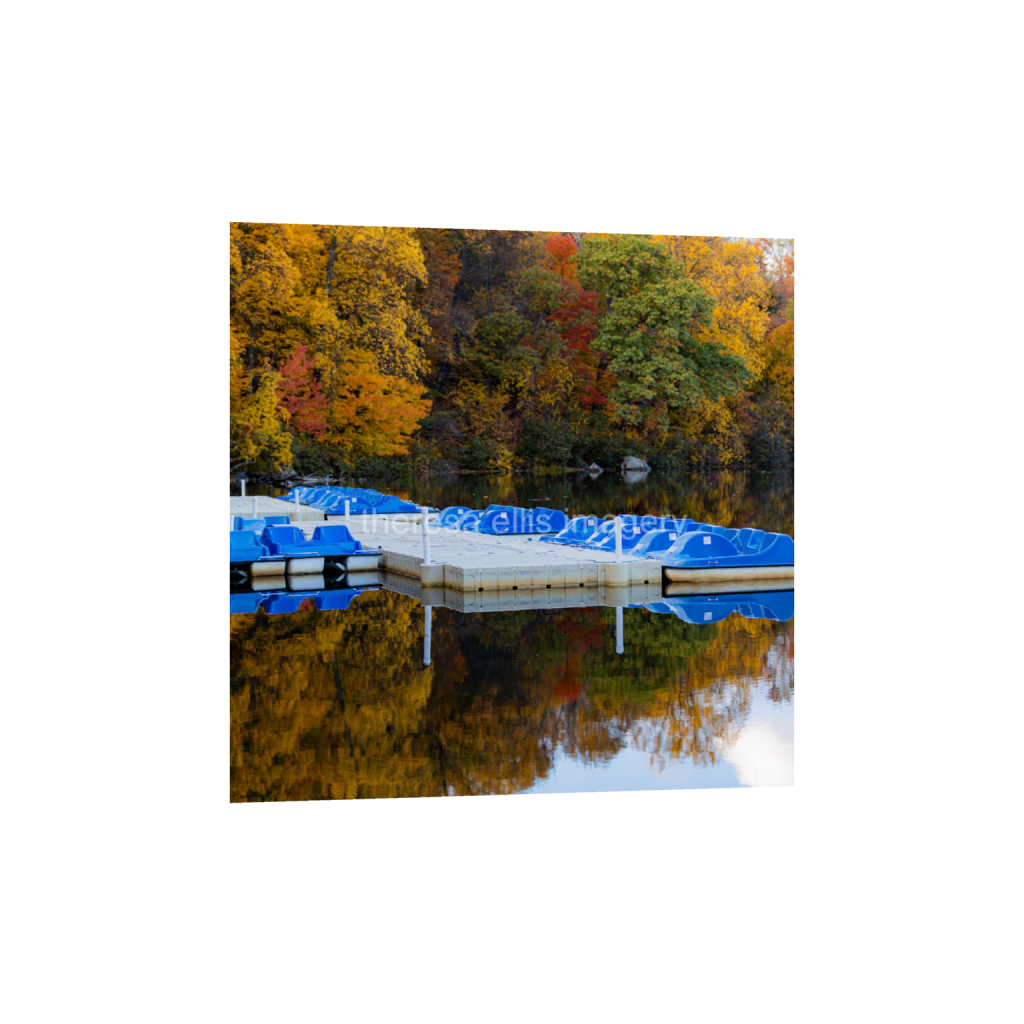 ptq_1_0_1120_0_4480_4480_0_false_ffffff_0_0_5c8a65ded2a0bd5ee7c2169a49639388.png