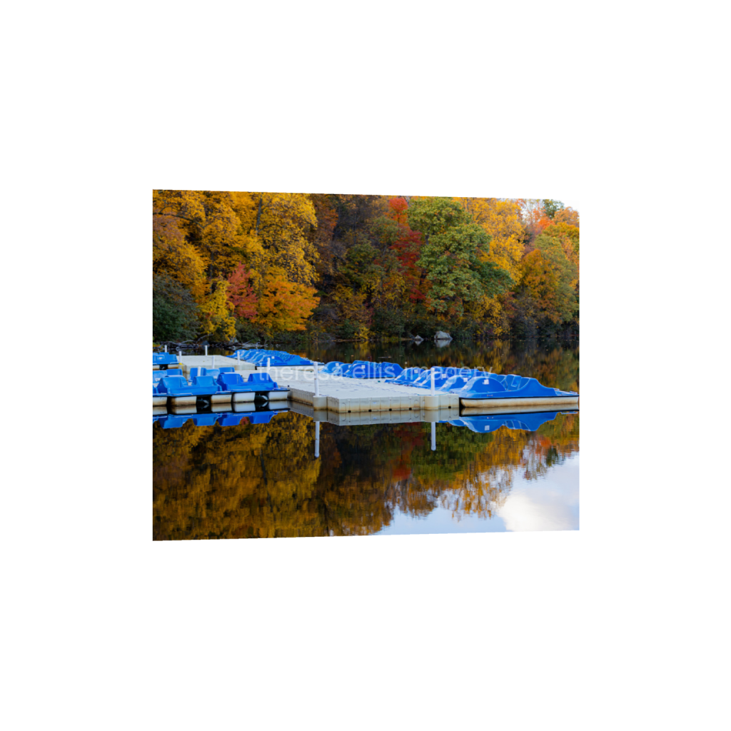 ptq_1_6_560_0_5600_4480_0_false_ffffff_0_0_5c8a65ded2a0bd5ee7c2169a49639388.png