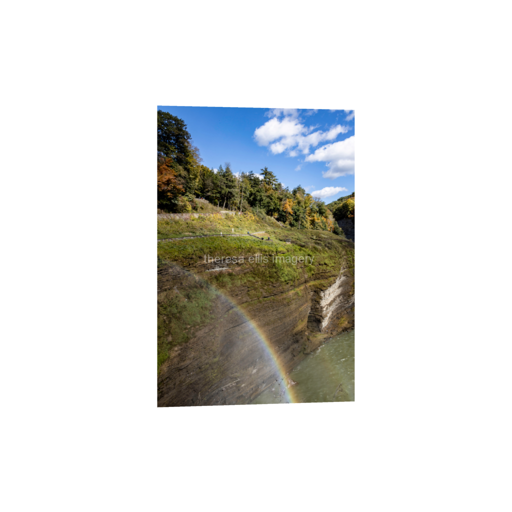 ptq_1_3_0_0_18918_28377_0_false_ffffff_0_0_5c8a65ded2a0bd5ee7c2169a49639388.png