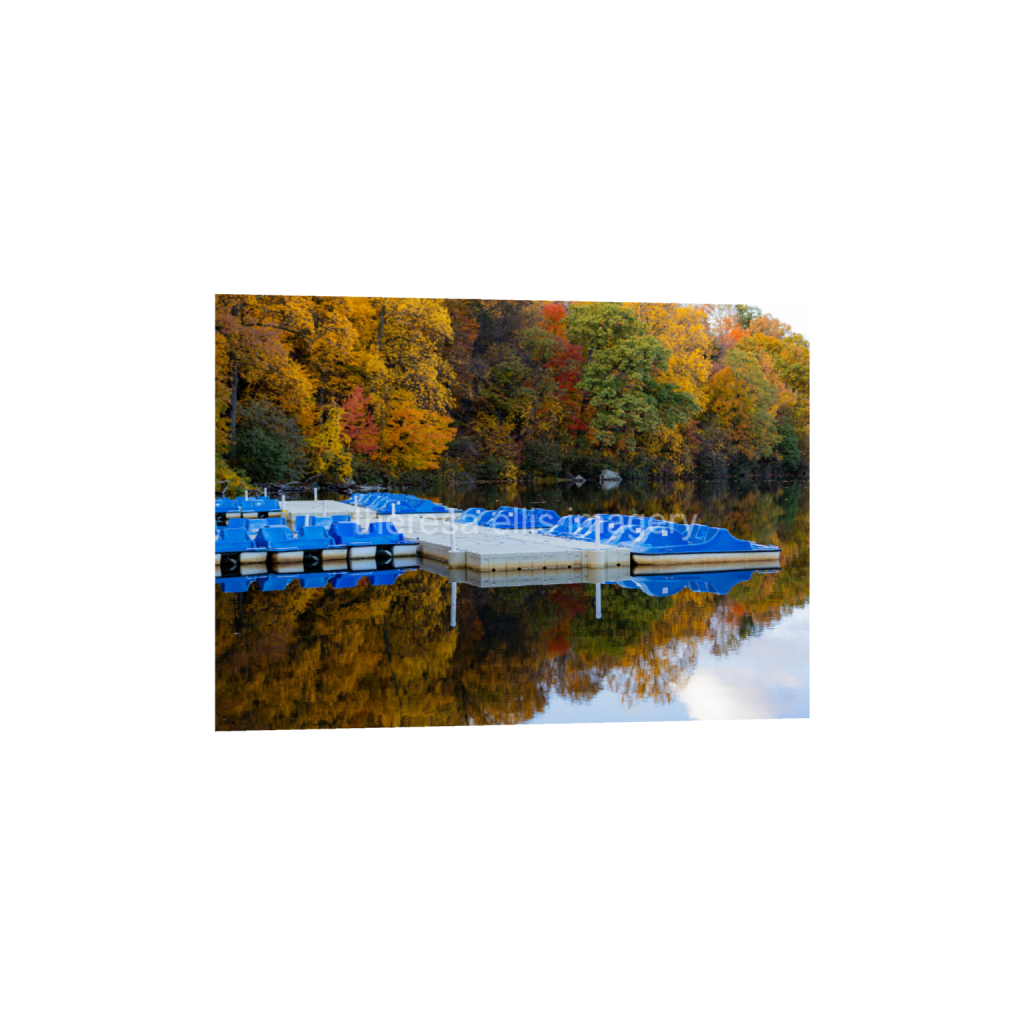 ptq_1_7_224_0_6272_4480_0_false_ffffff_0_0_5c8a65ded2a0bd5ee7c2169a49639388.png