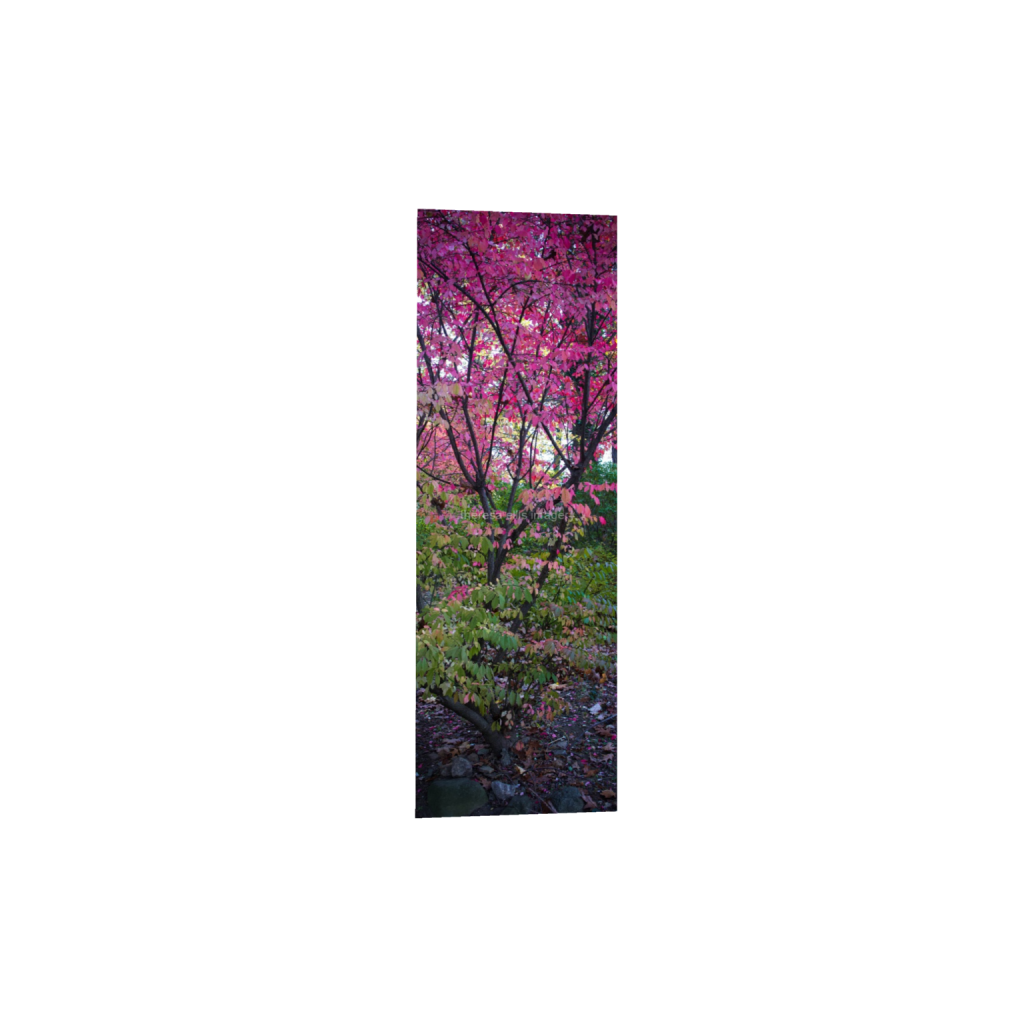 ptq_1_2_1120_0_2240_6720_0_false_ffffff_0_0_5c8a65ded2a0bd5ee7c2169a49639388.png