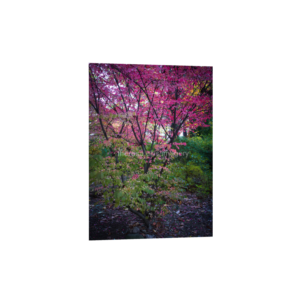 ptq_1_7_0_224_4480_6272_0_false_ffffff_0_0_5c8a65ded2a0bd5ee7c2169a49639388.png