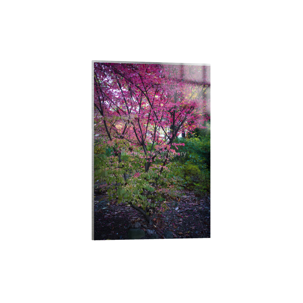 ptq_13_3_0_0_4480_6720_0_false_ffffff_0_0_5c8a65ded2a0bd5ee7c2169a49639388.png