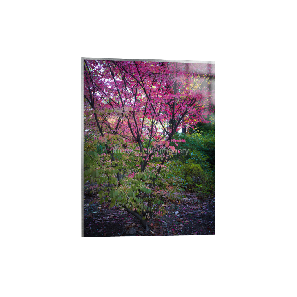 ptq_13_5_0_373_4480_5973_0_false_ffffff_0_0_5c8a65ded2a0bd5ee7c2169a49639388.png