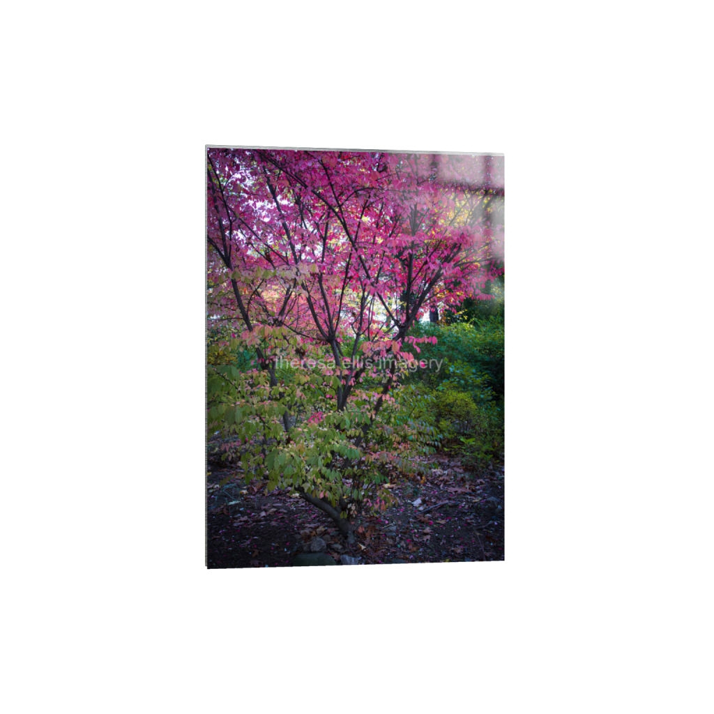 ptq_13_7_0_224_4480_6272_0_false_ffffff_0_0_5c8a65ded2a0bd5ee7c2169a49639388.png
