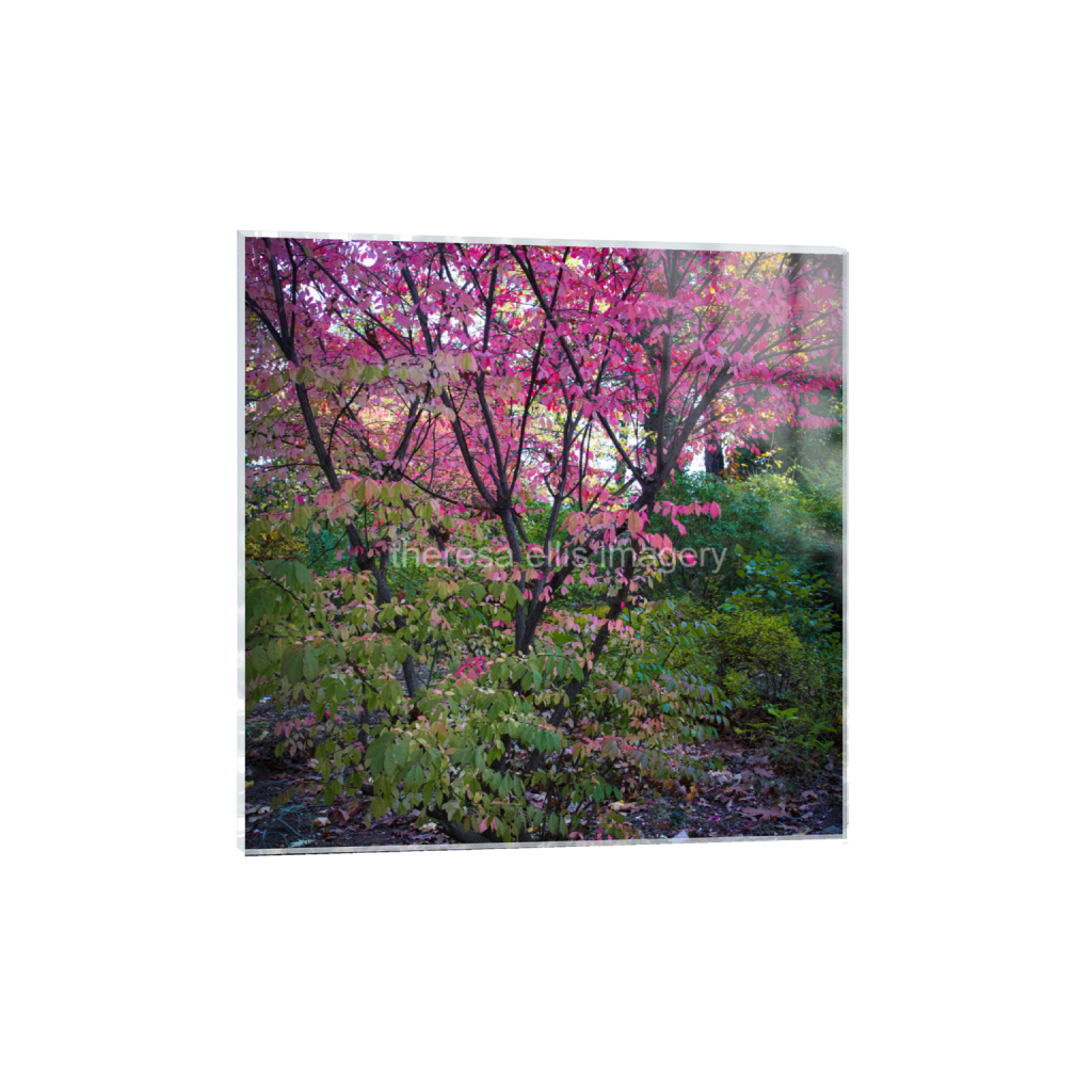 ptq_17_0_0_1120_4480_4480_0_false_ffffff_0_0_5c8a65ded2a0bd5ee7c2169a49639388.png