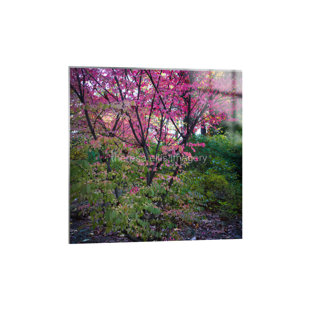 ptq_13_0_0_1120_4480_4480_0_false_ffffff_0_0_5c8a65ded2a0bd5ee7c2169a49639388.png
